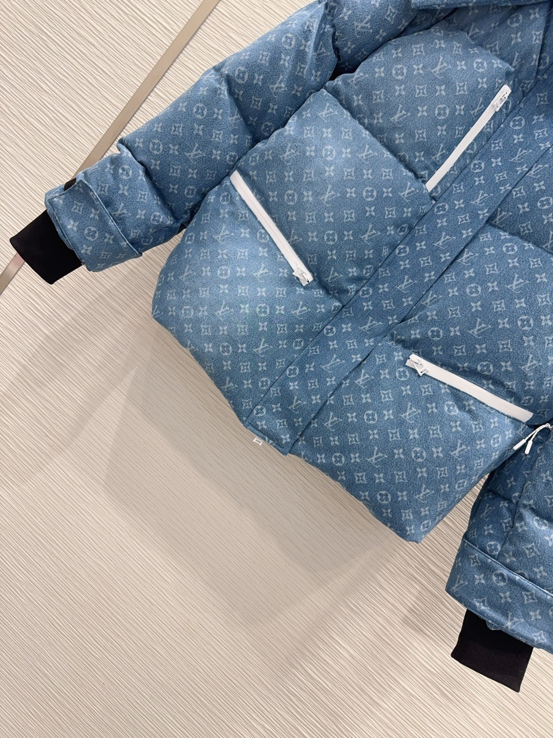 Louis Vuitton Female Down Jacket Printed S-m-l-xl