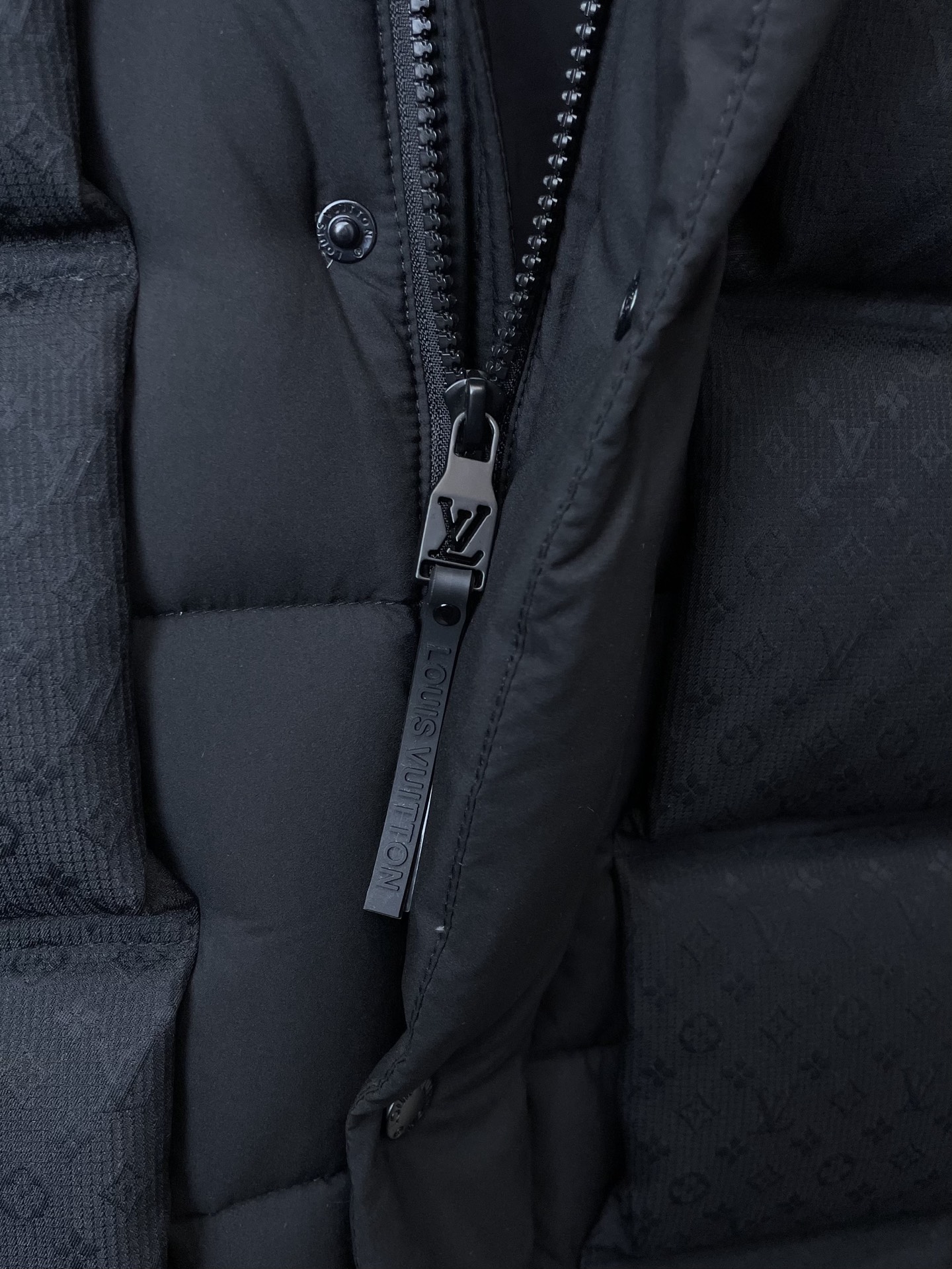 Louis Vuitton Down Jacket Hooded S-m-l-xl