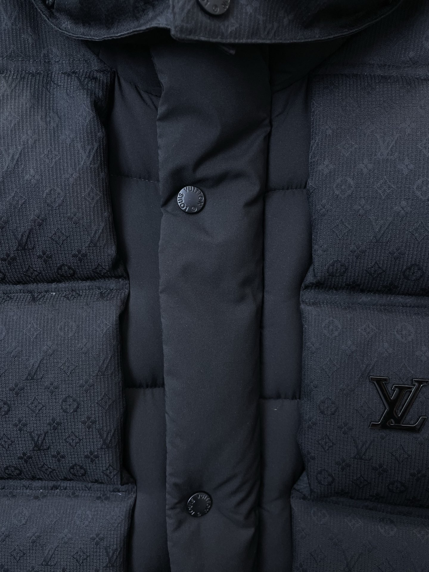 Louis Vuitton Down Jacket Hooded S-m-l-xl