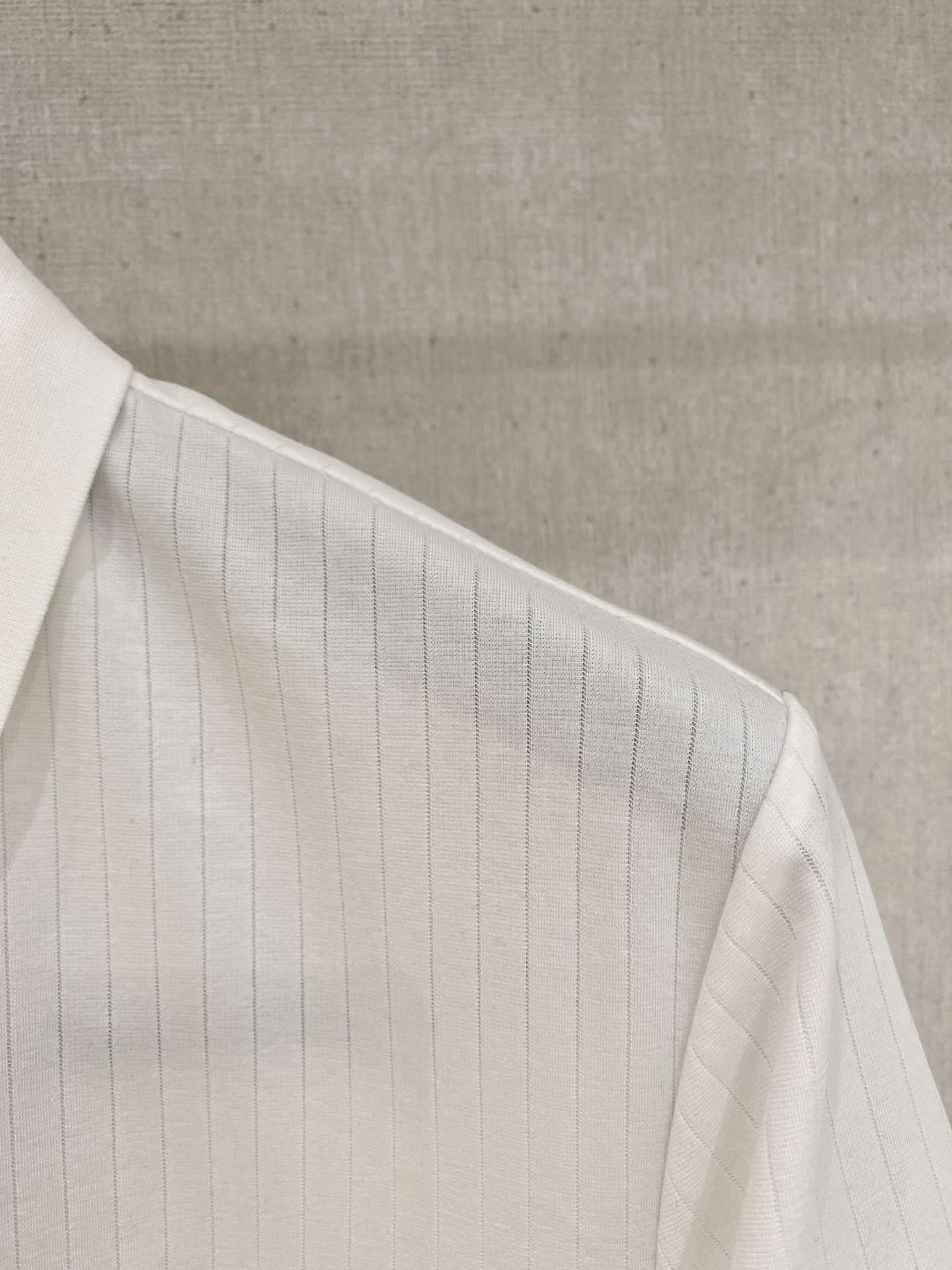 Loro Piana Basic Clothing Cotton L
