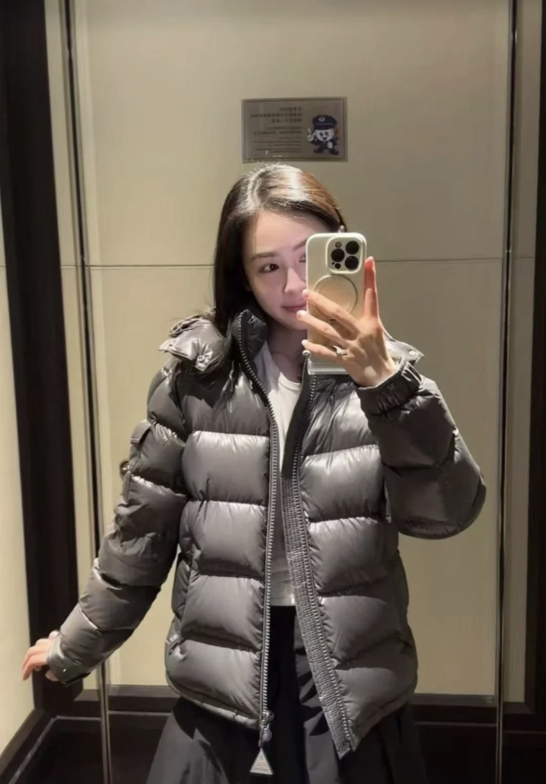 Moncler Male Down Jacket Gray Hooded M-l