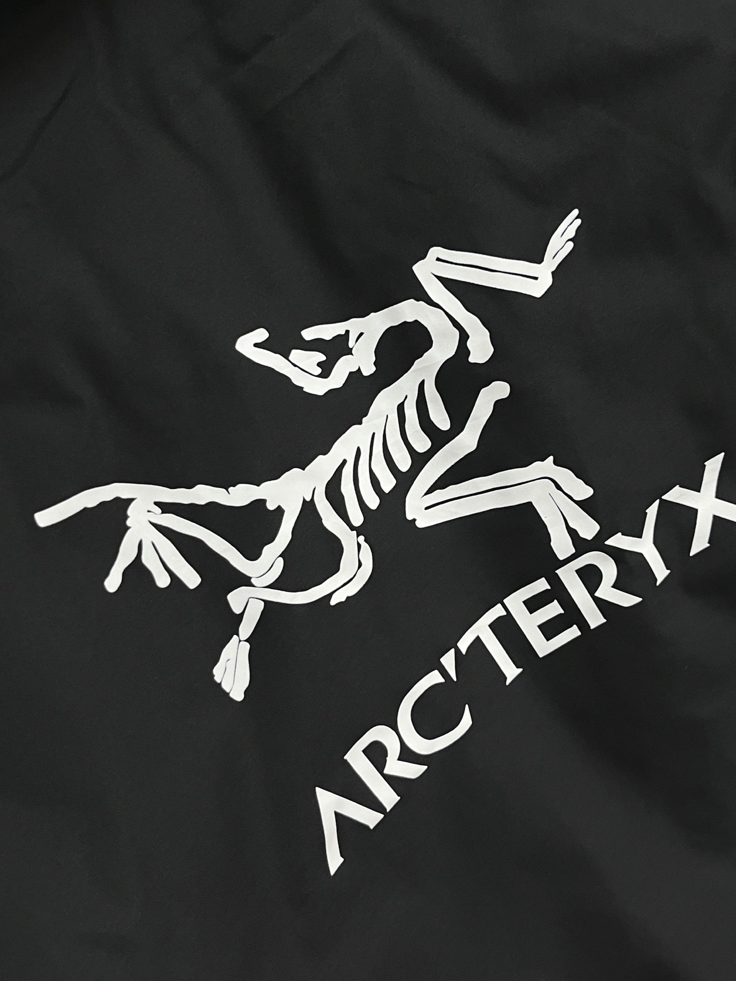Arcteryx Male Down Jacket White Duck Down Hooded M-xxxl
