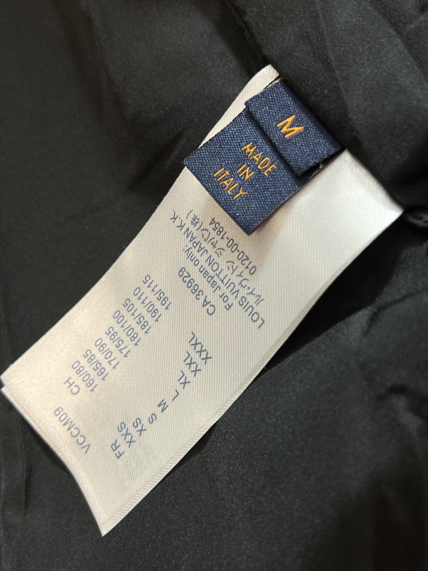 Louis Vuitton Down Jacket Goose Down M-l-xxl-175140