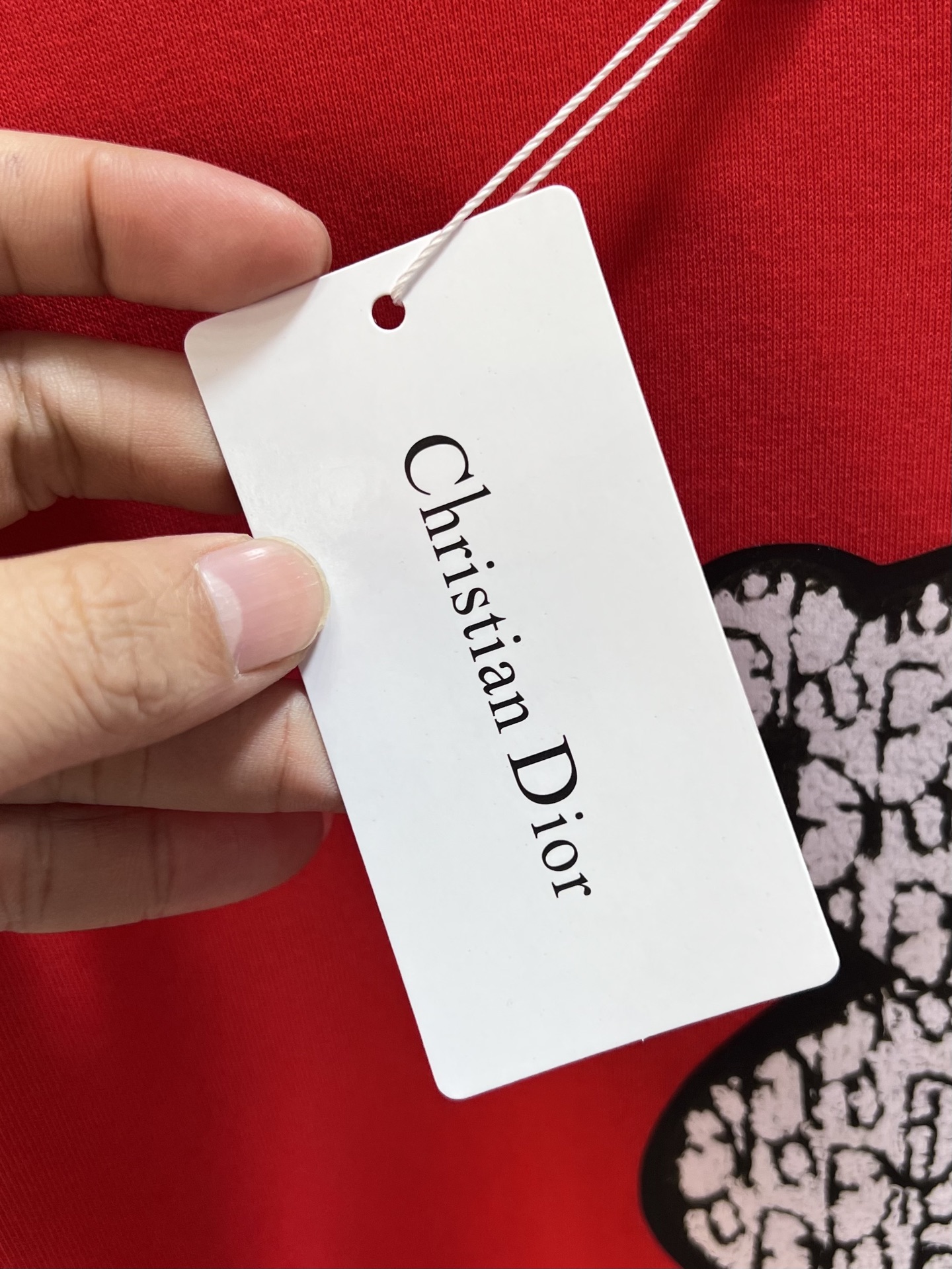 Dior Hoodie Fleece Lined M-l-xxxl-175140