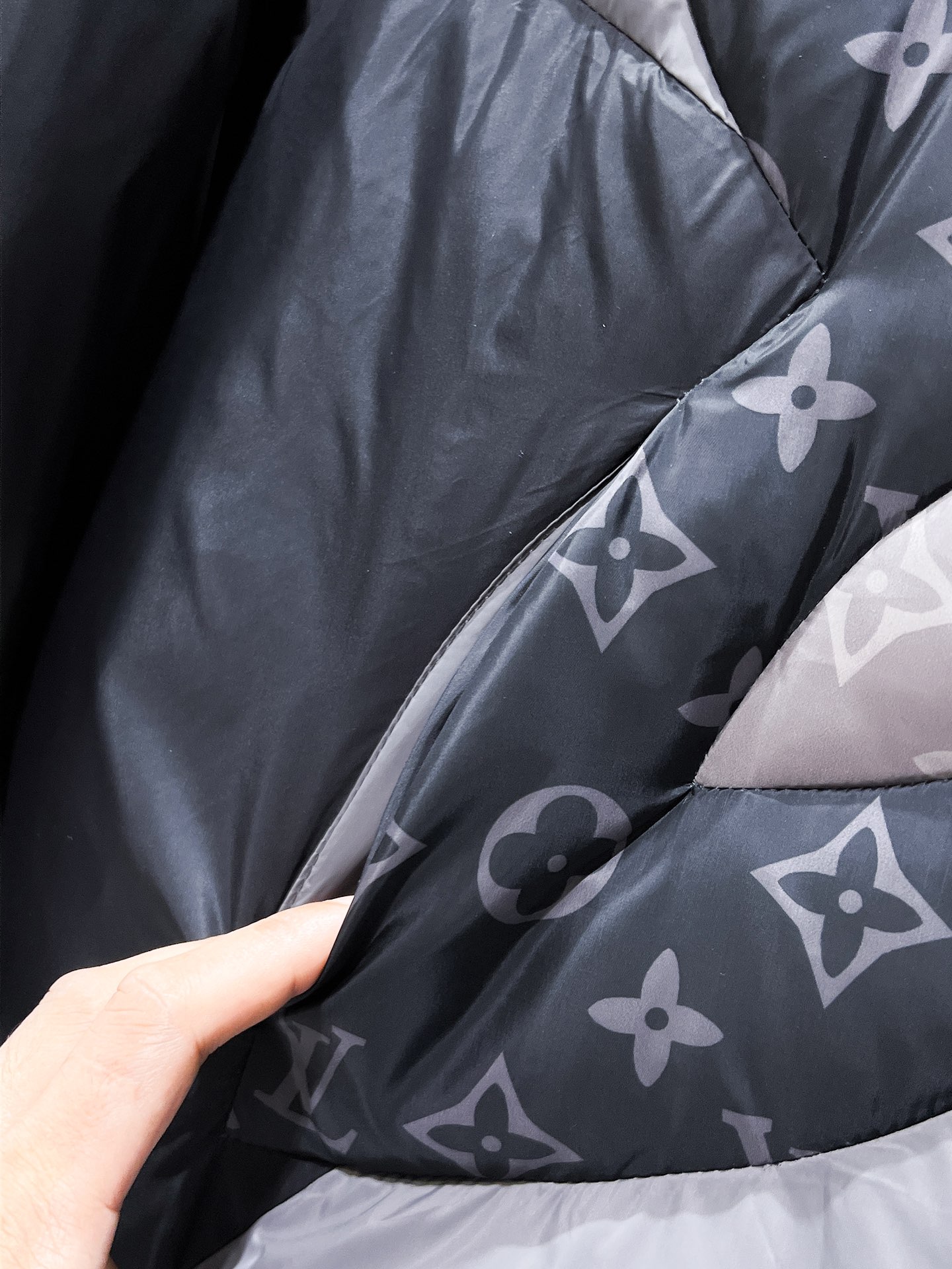 Louis Vuitton Couple Down Jacket Hooded L