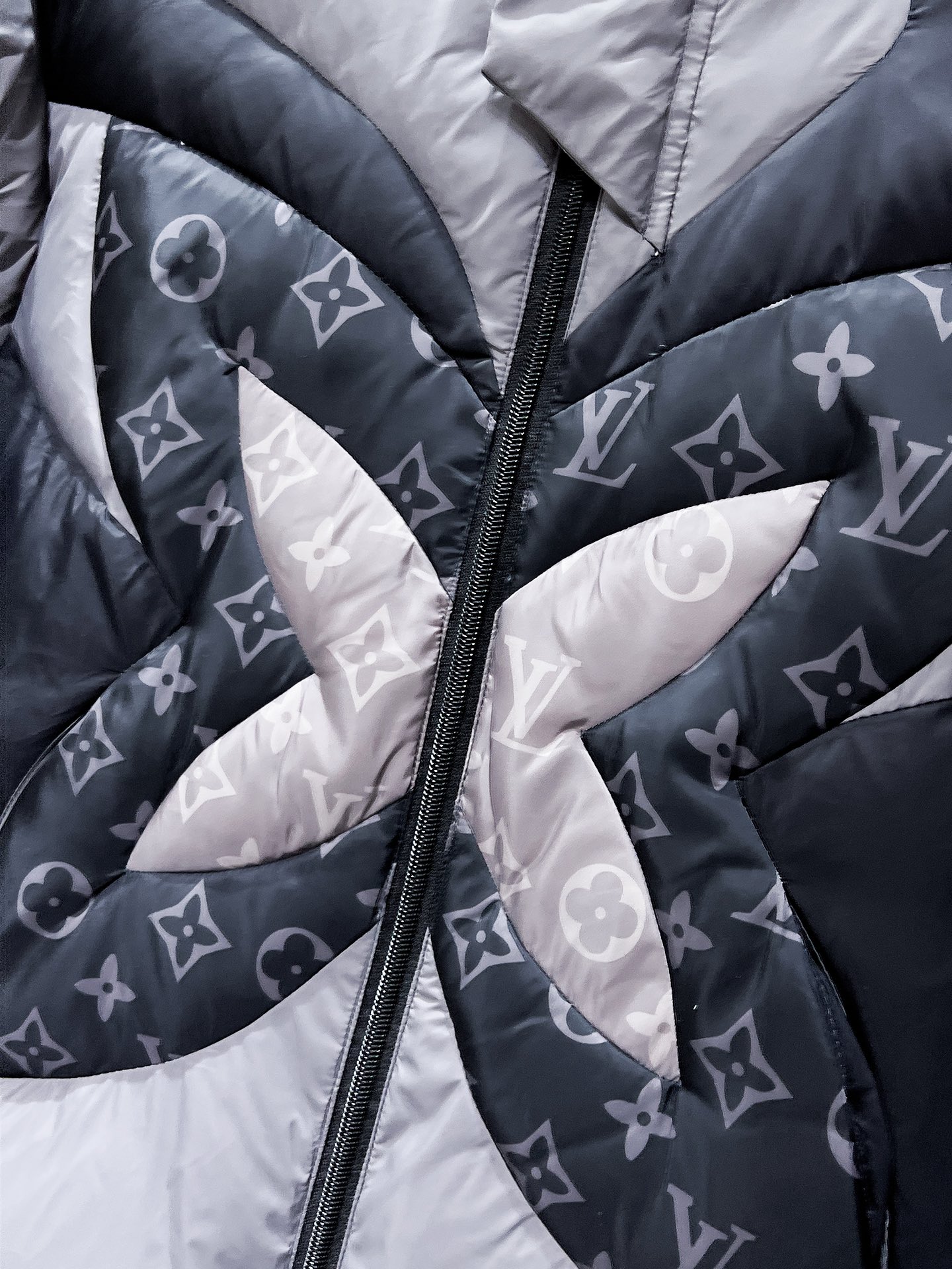 Louis Vuitton Couple Down Jacket Hooded L