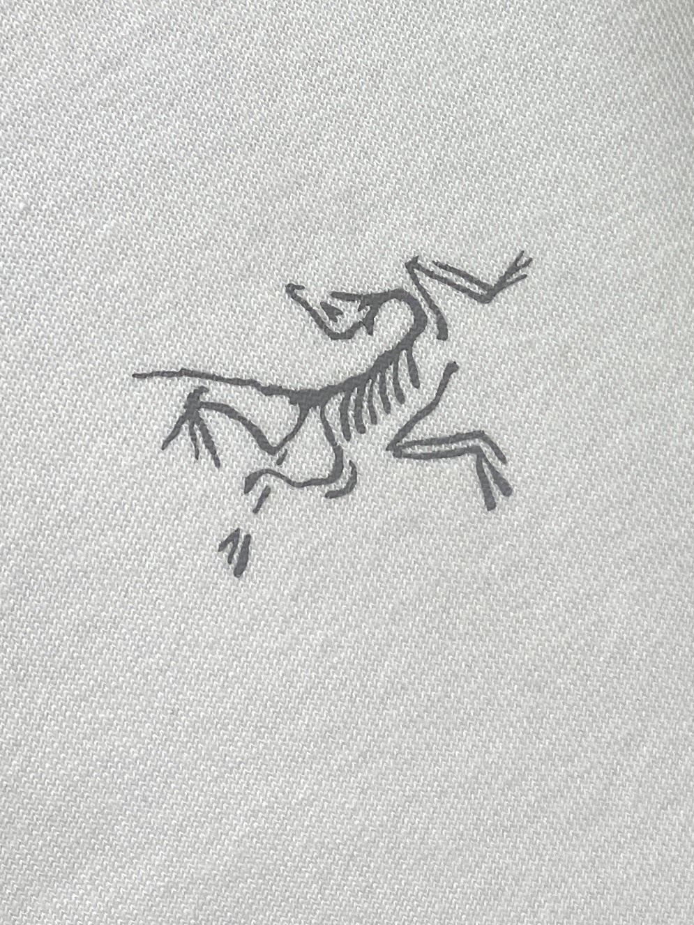 Arcteryx Hoodie Cotton Printed M-l-xl