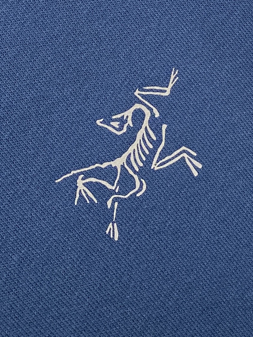 Arcteryx Hoodie Cotton Printed M-l-xl