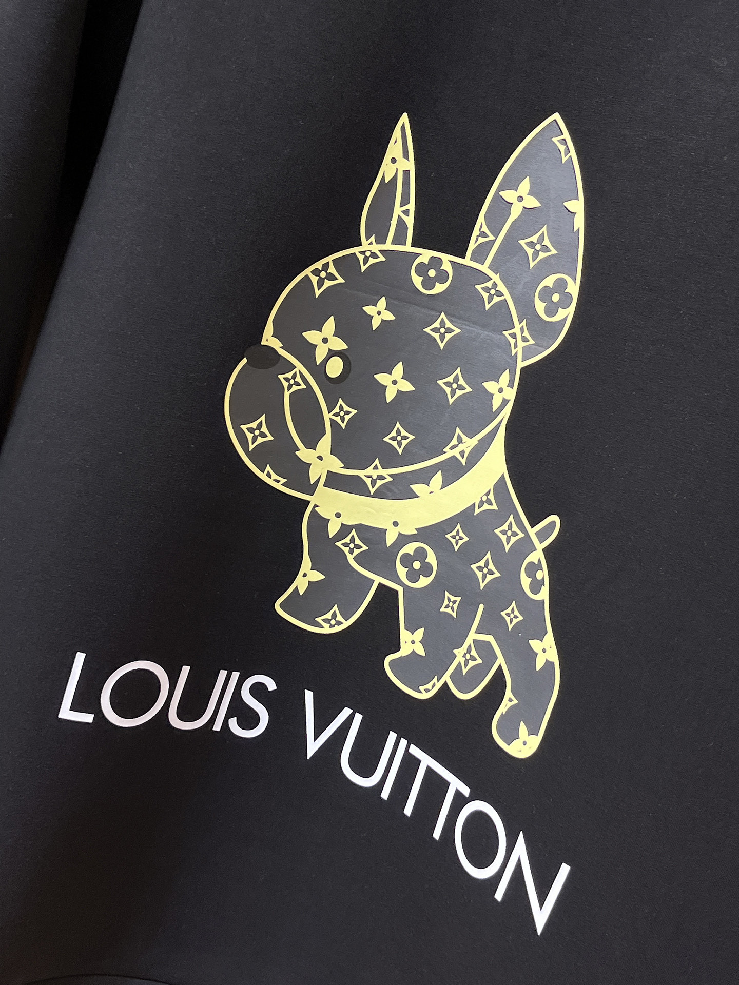 Louis Vuitton Male Hoodie Cotton Black Xs-s-m-l
