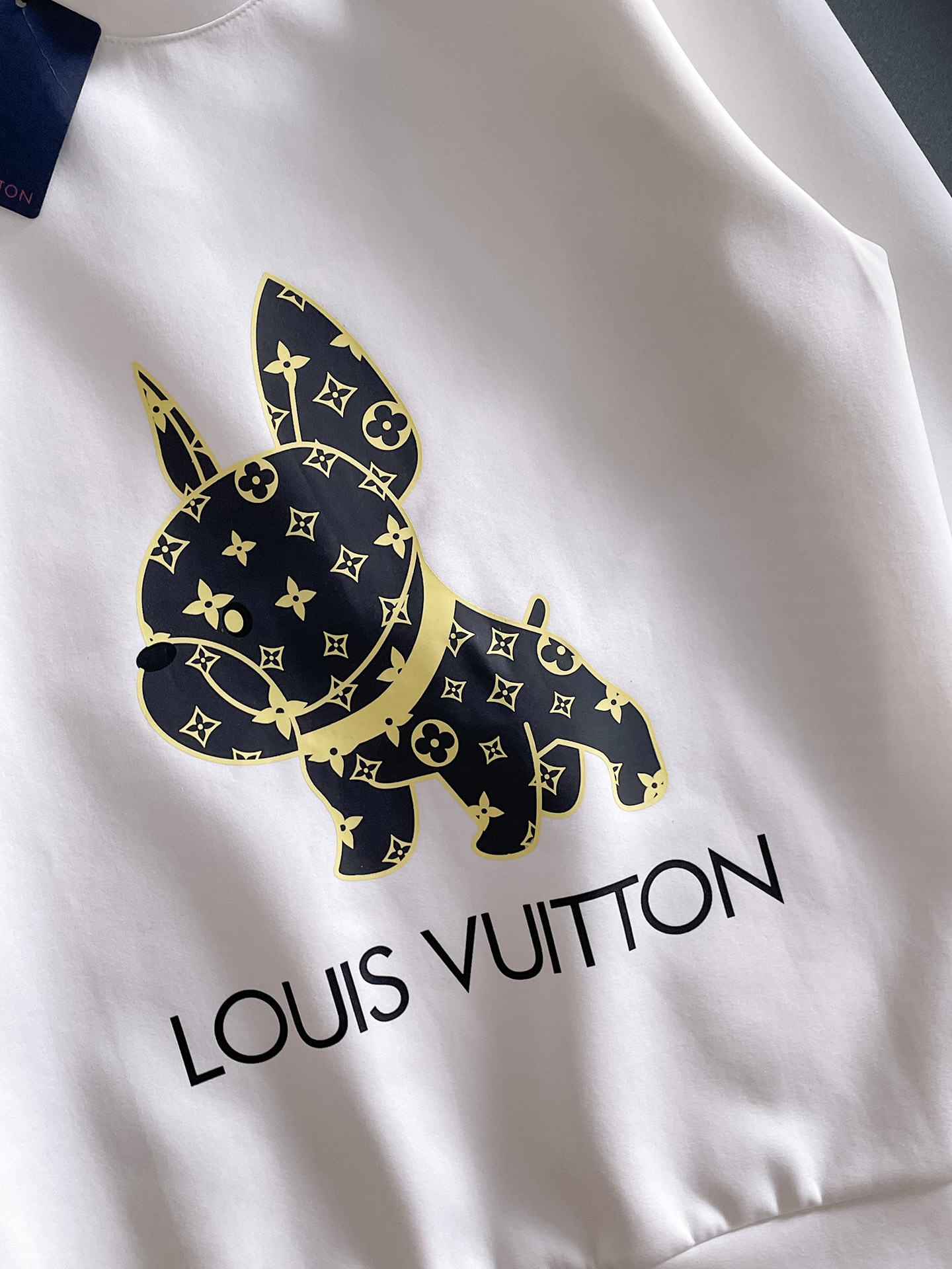 Louis Vuitton Male Hoodie Cotton Black Xs-s-m-l