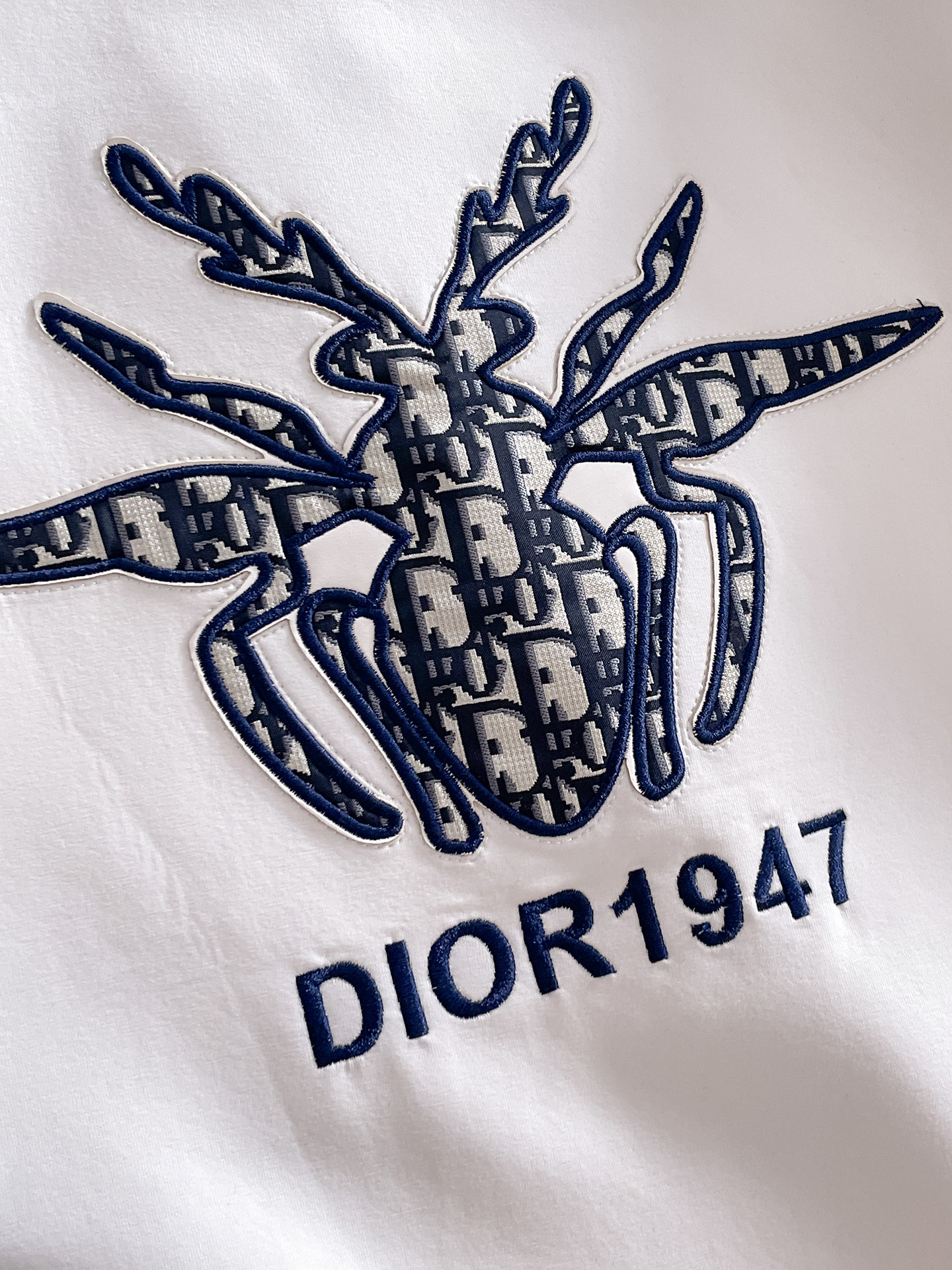 Dior Male Hoodie Cotton Black Xs-s-m-l