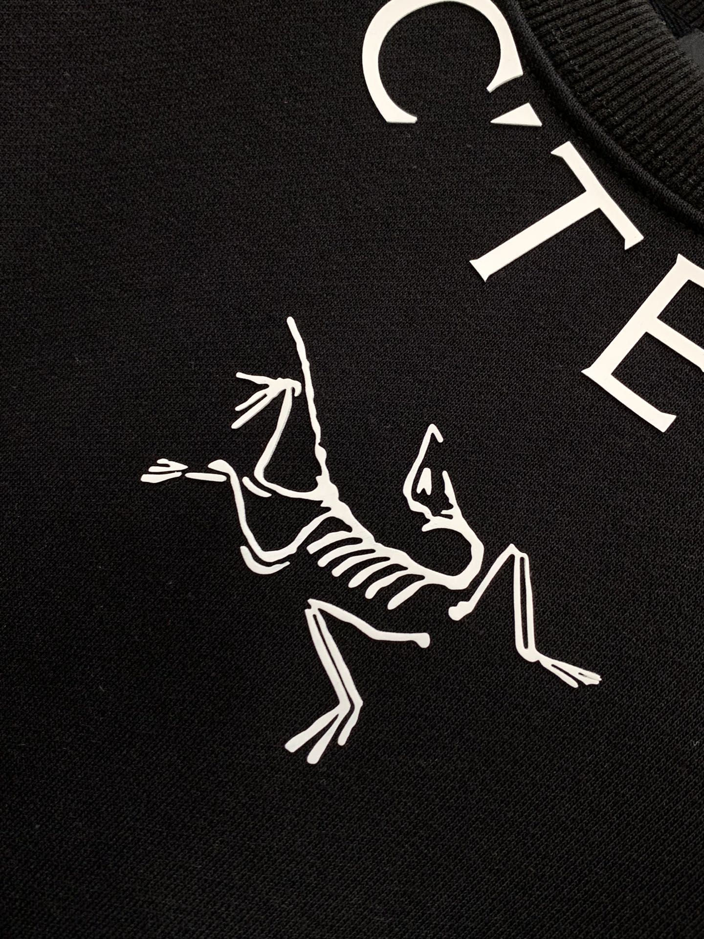 Arcteryx Hoodie S-xl