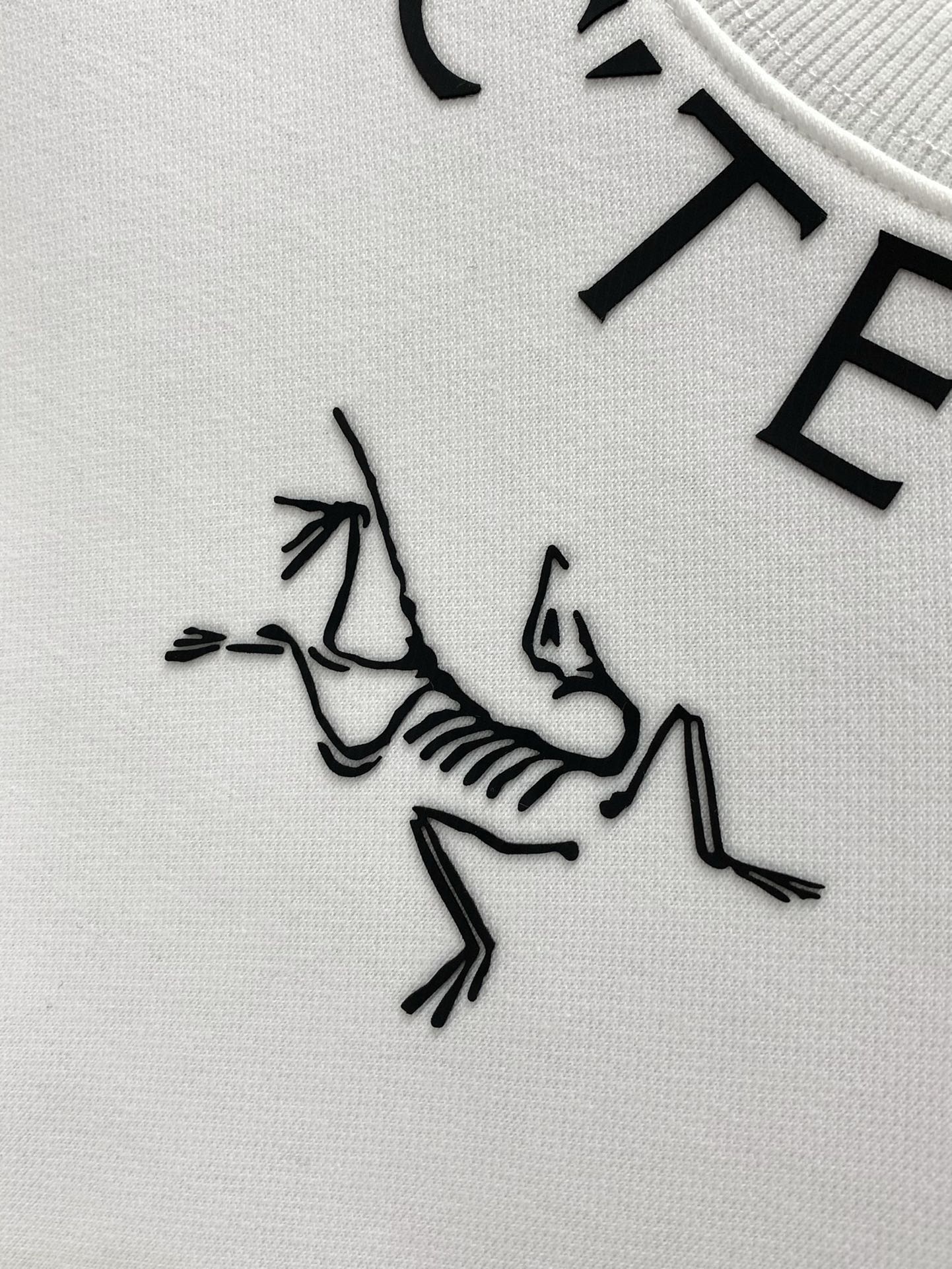 Arcteryx Hoodie S-xl