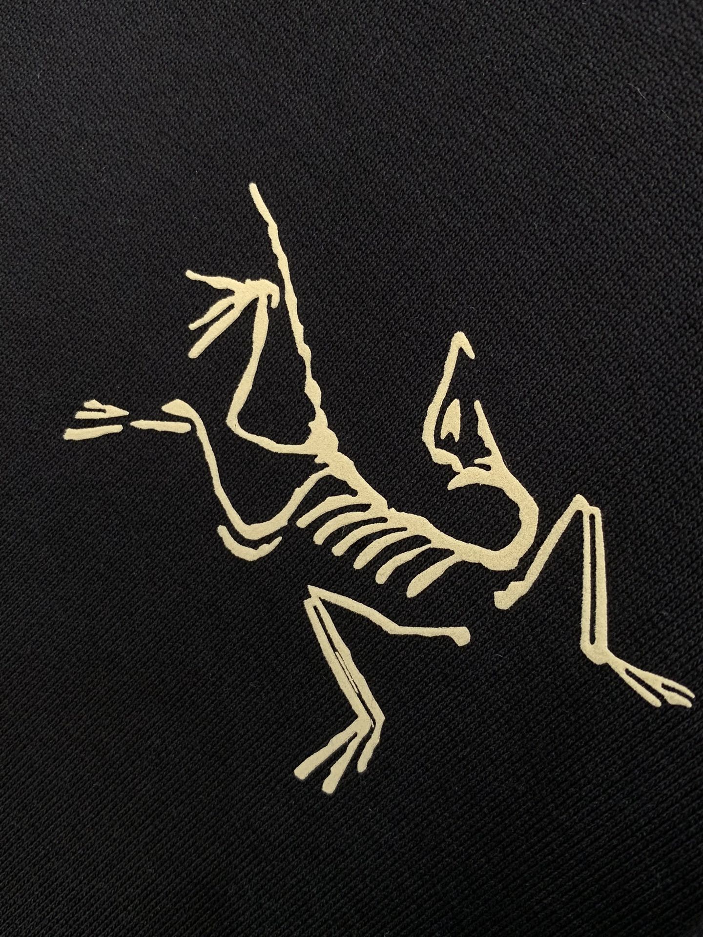 Arcteryx Hoodie S-xl