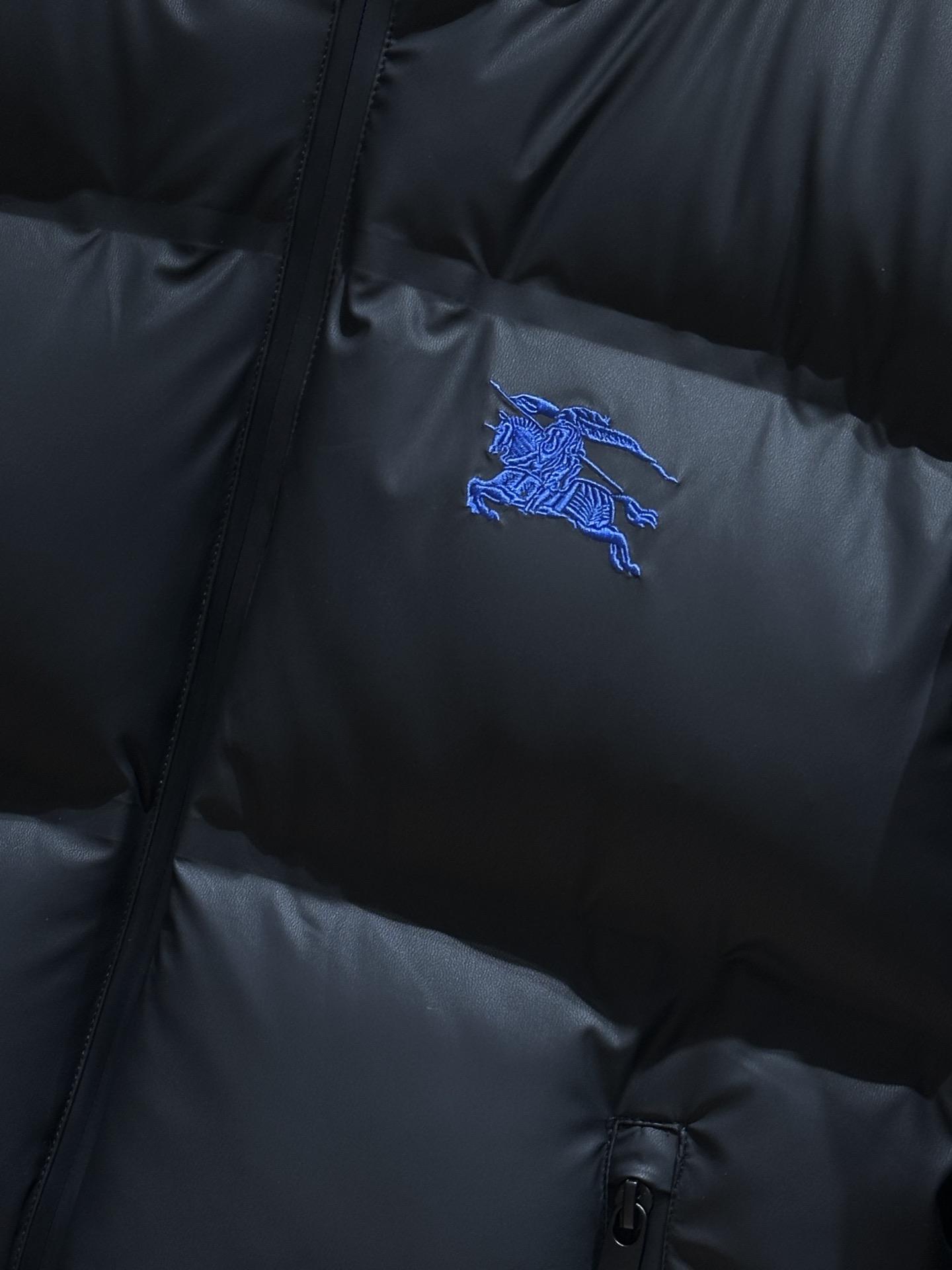 Burberry Down Jacket Goose Down