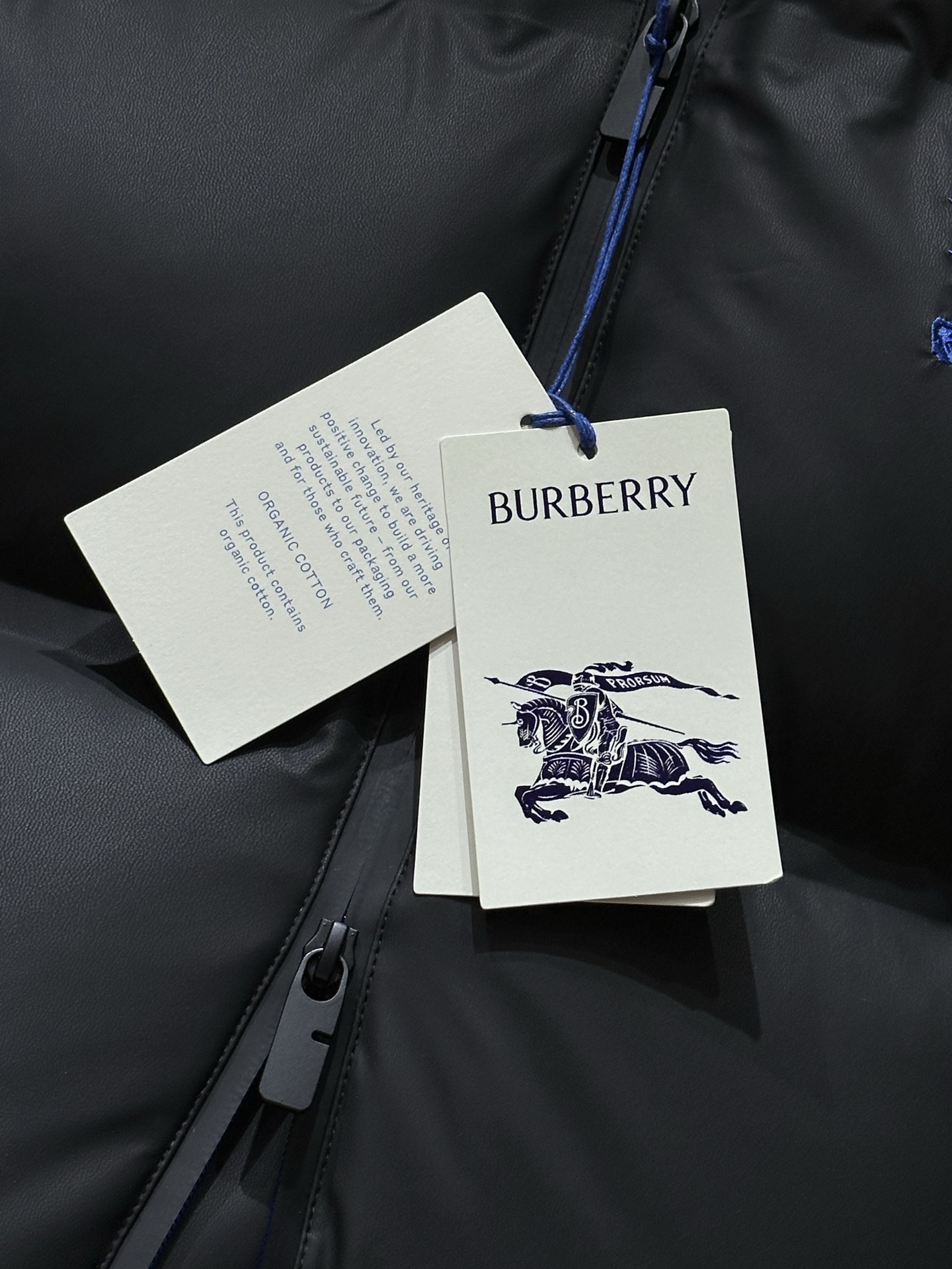 Burberry Down Jacket Goose Down