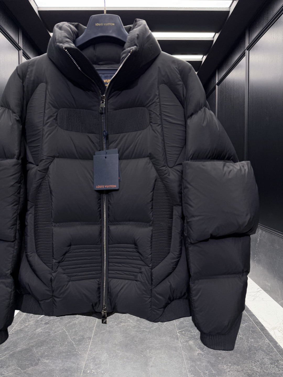 Louis Vuitton Male Down Jacket Goose Down S-l