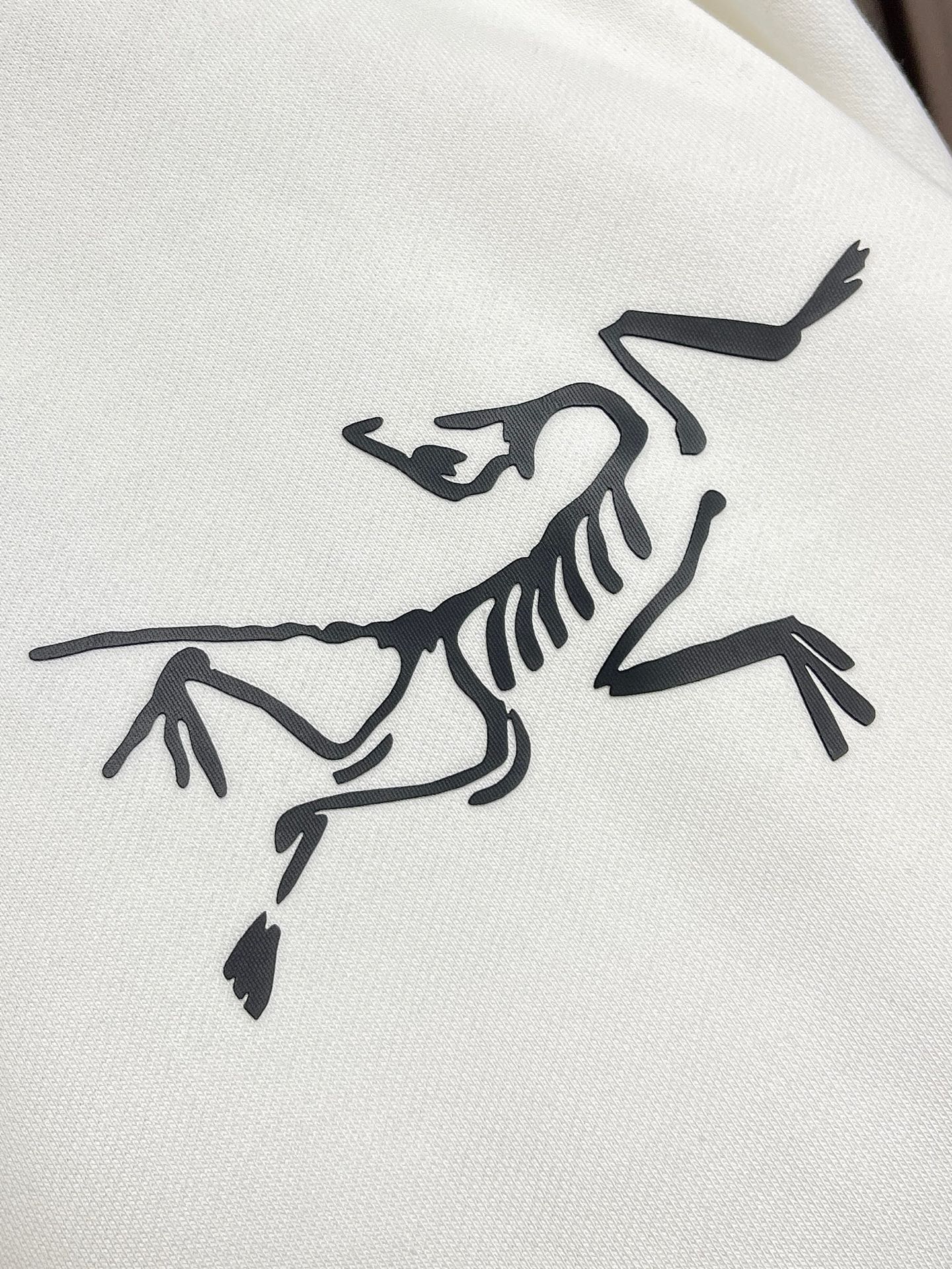 Arcteryx Hoodie Printed S-m-l-xl-xxl