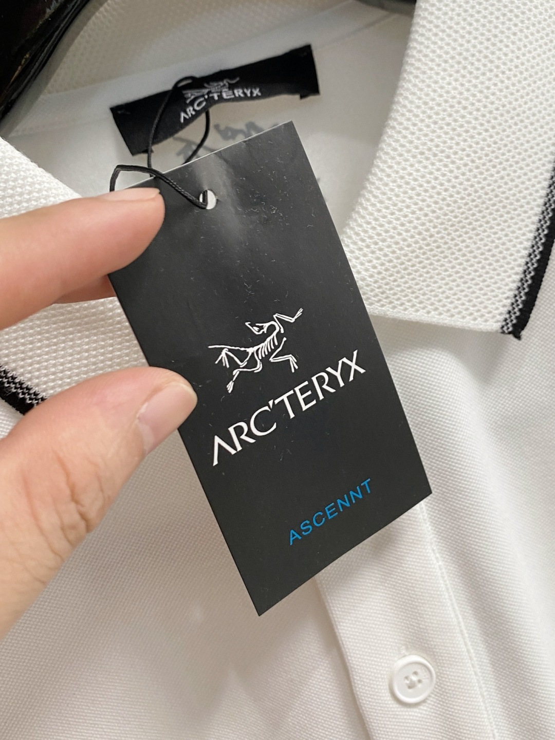 Arcteryx Male Basic Clothing Cotton M-l-xl