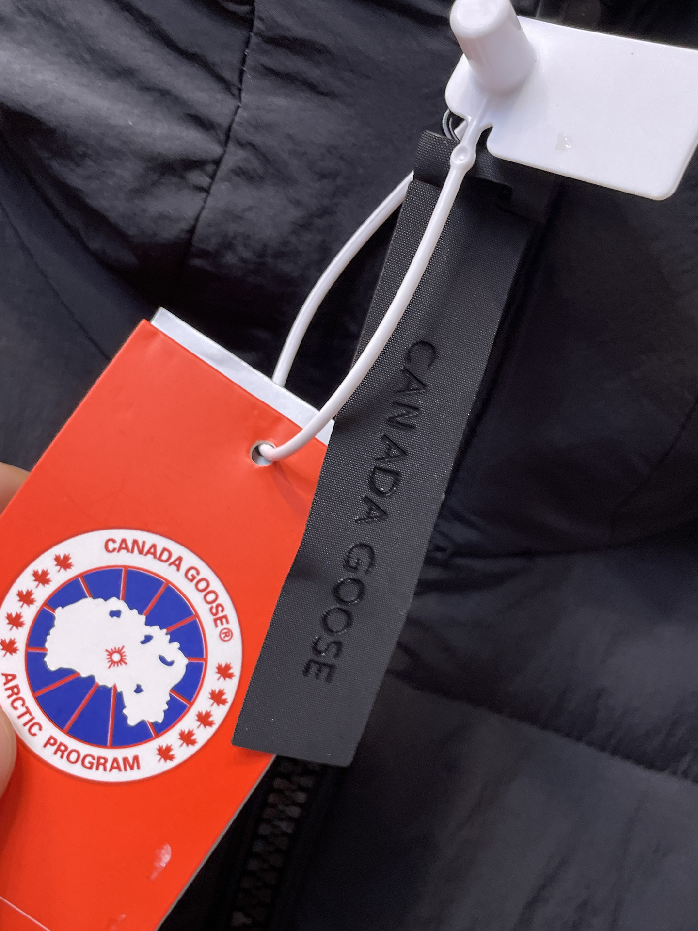 Canada Goose Basic Clothing Cotton M-xxxl