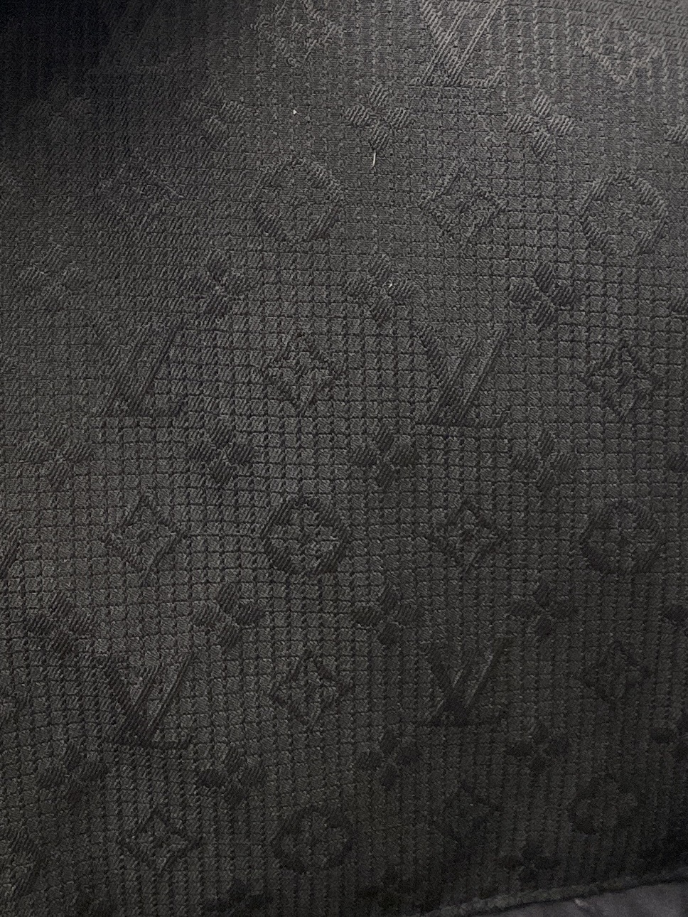 Louis Vuitton Male Jacket M-xl