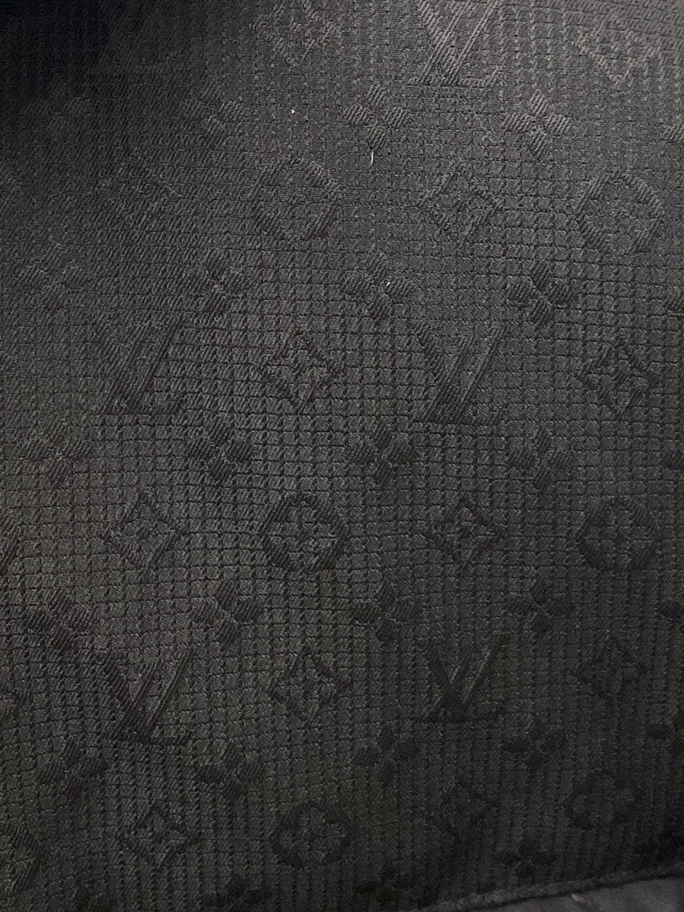 Louis Vuitton Male Jacket M-xl