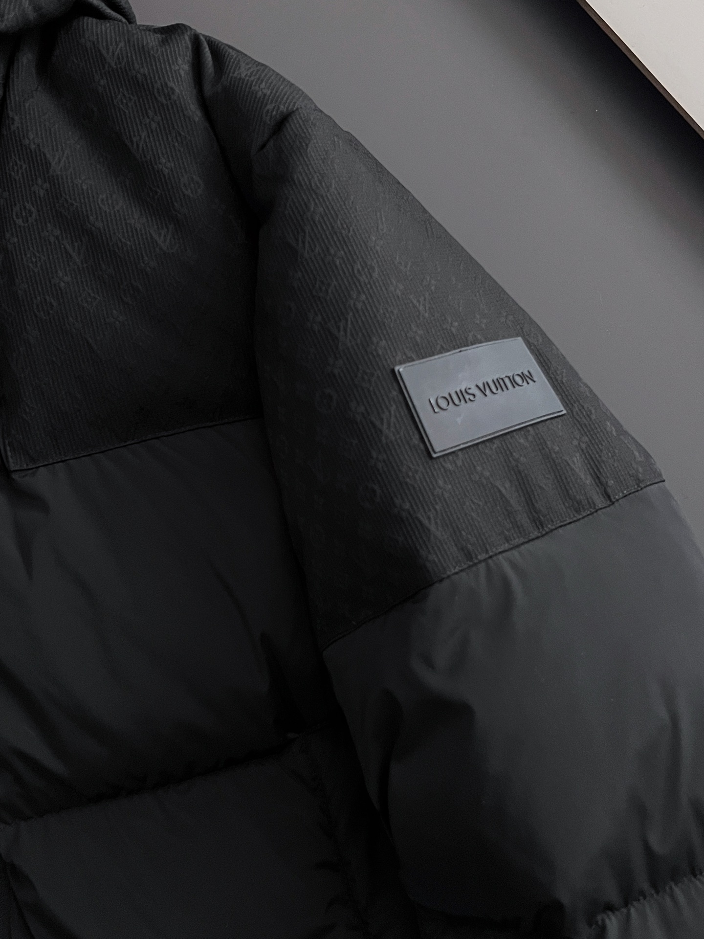 Louis Vuitton Down Jacket Goose Down