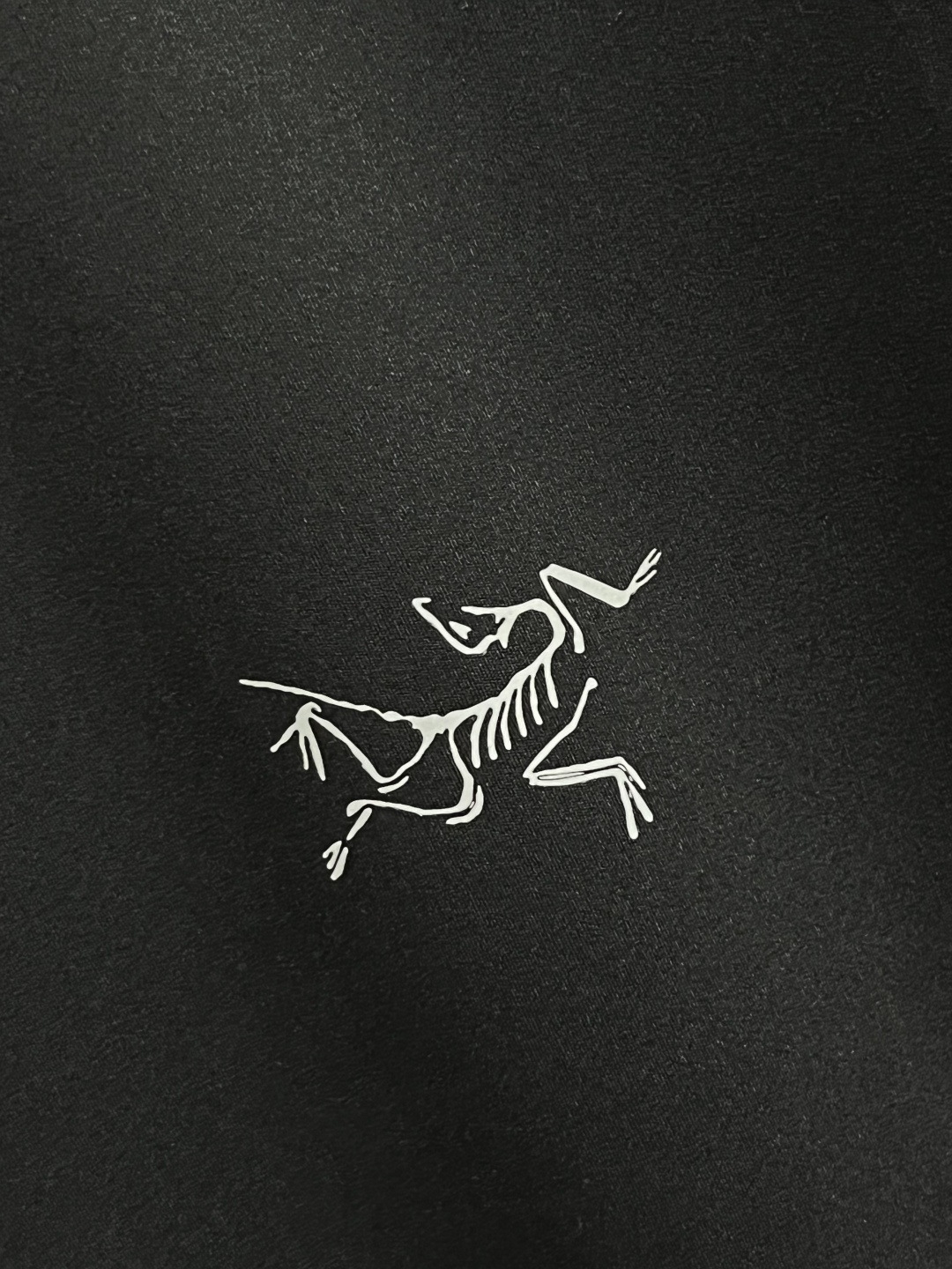 Arcteryx Male Shirt S-m-xl