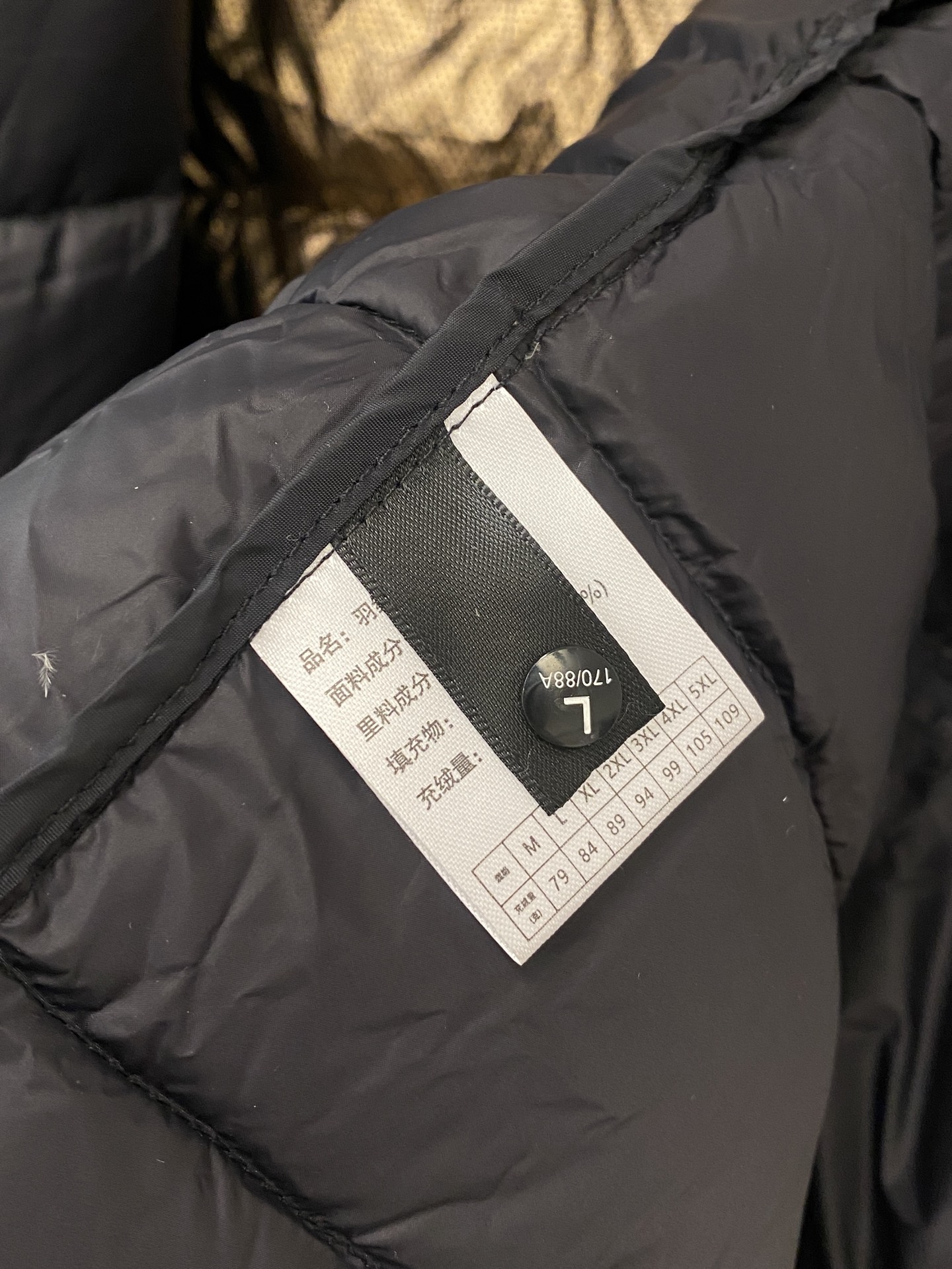 Arcteryx Male Down Jacket L-xl