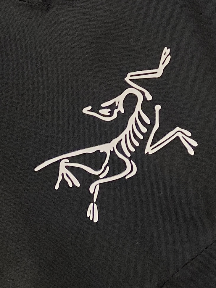 Arcteryx Male Down Jacket L-xl