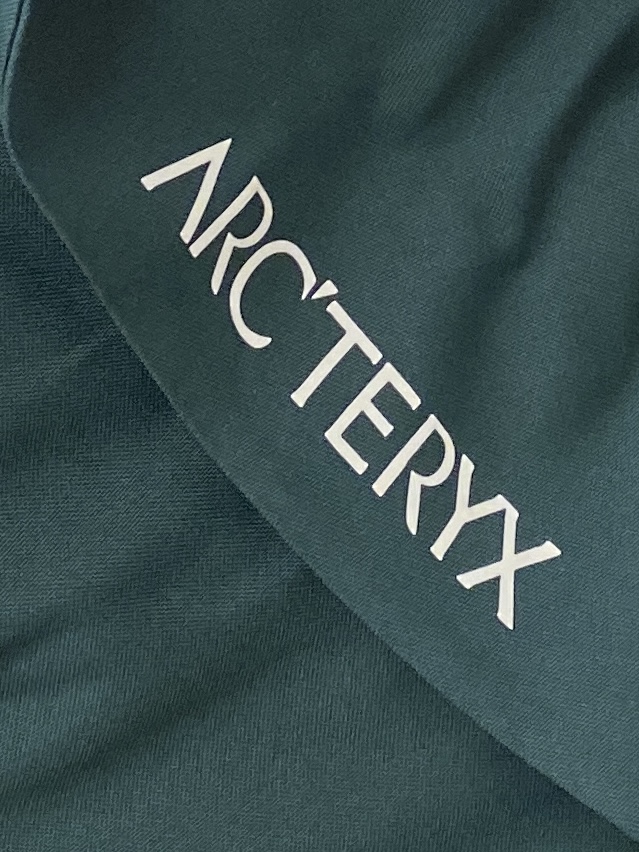 Arcteryx Male Down Jacket L-xl