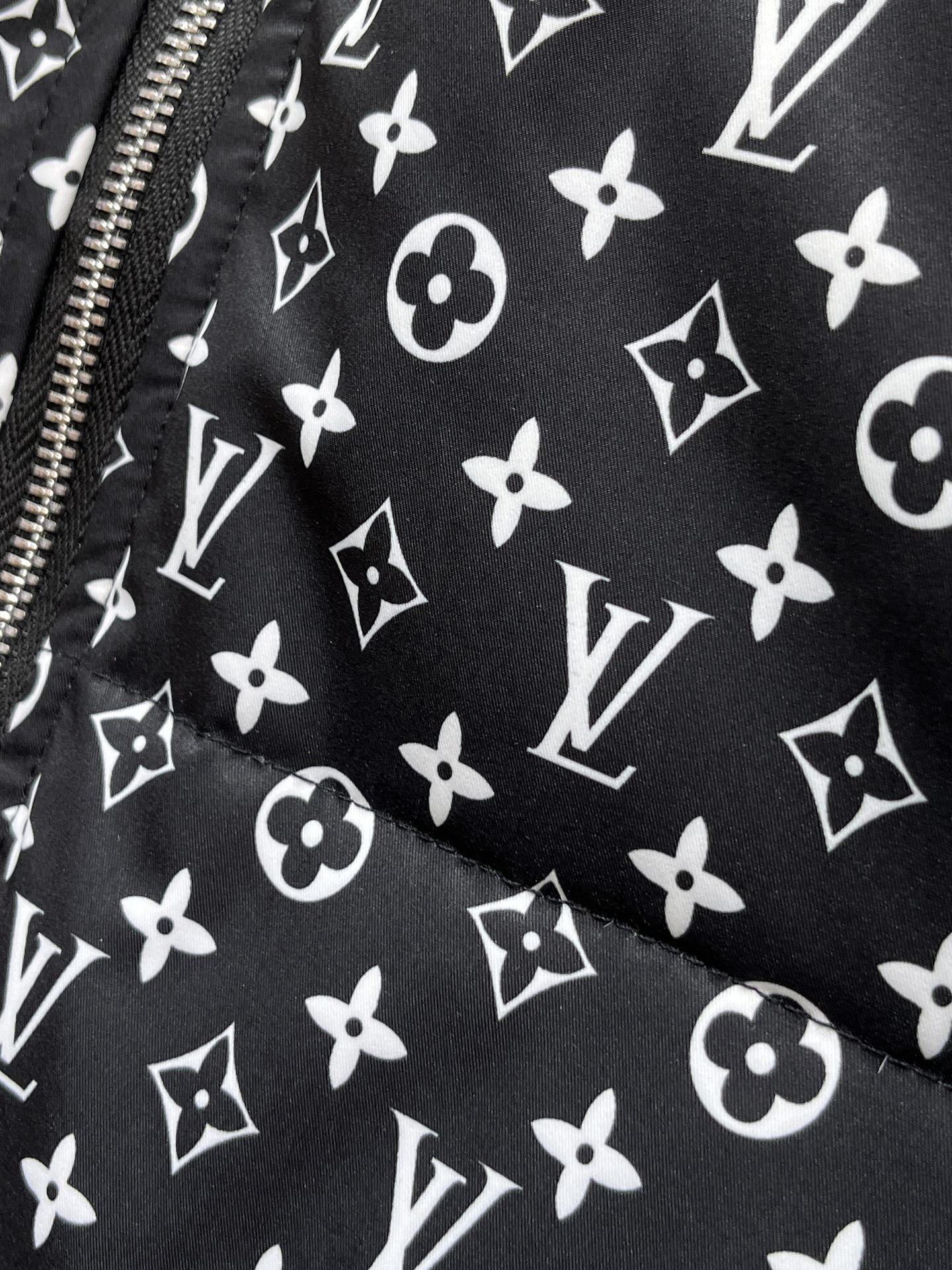 Louis Vuitton Down Jacket S-m-l-xl