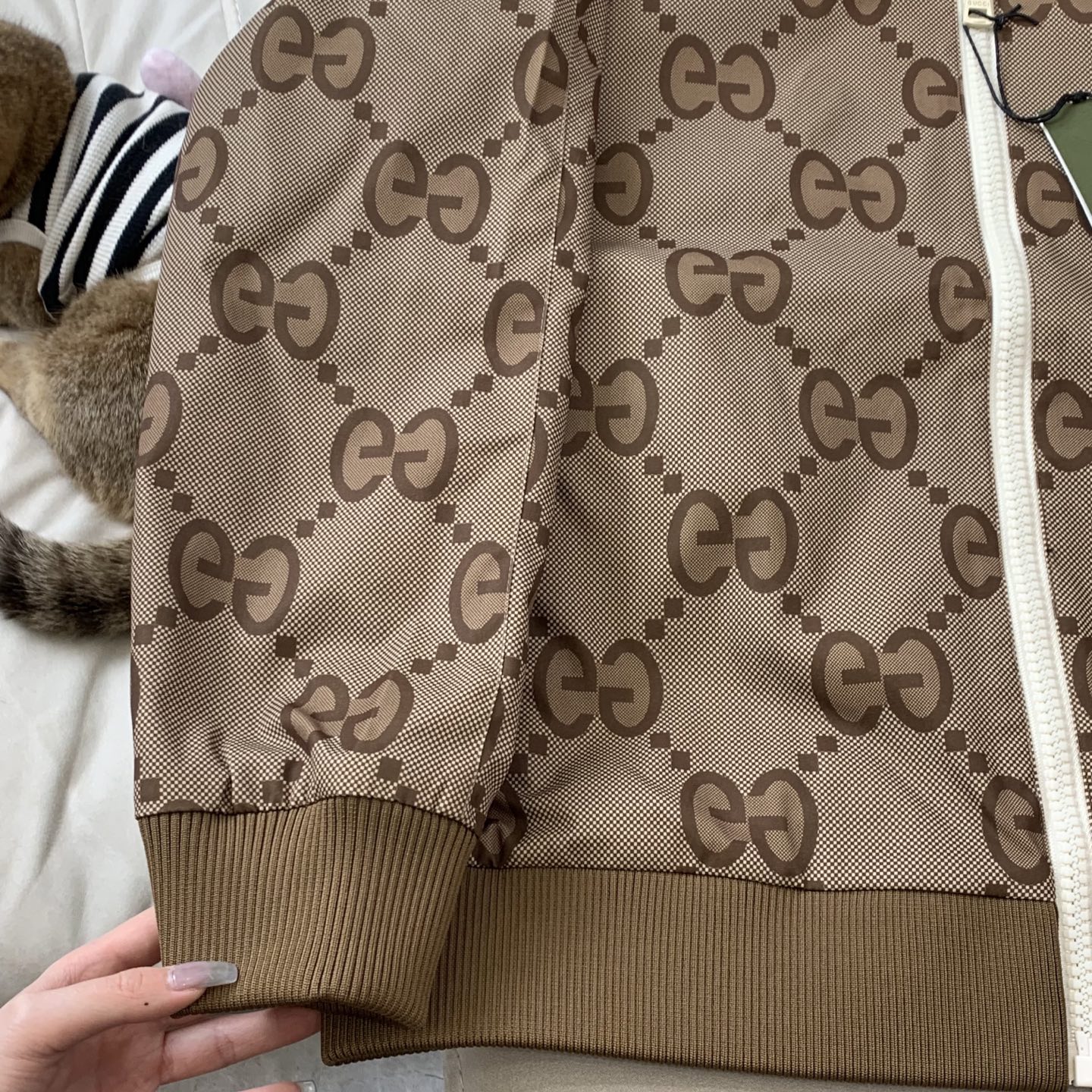 Gucci Jacket M-xxxl