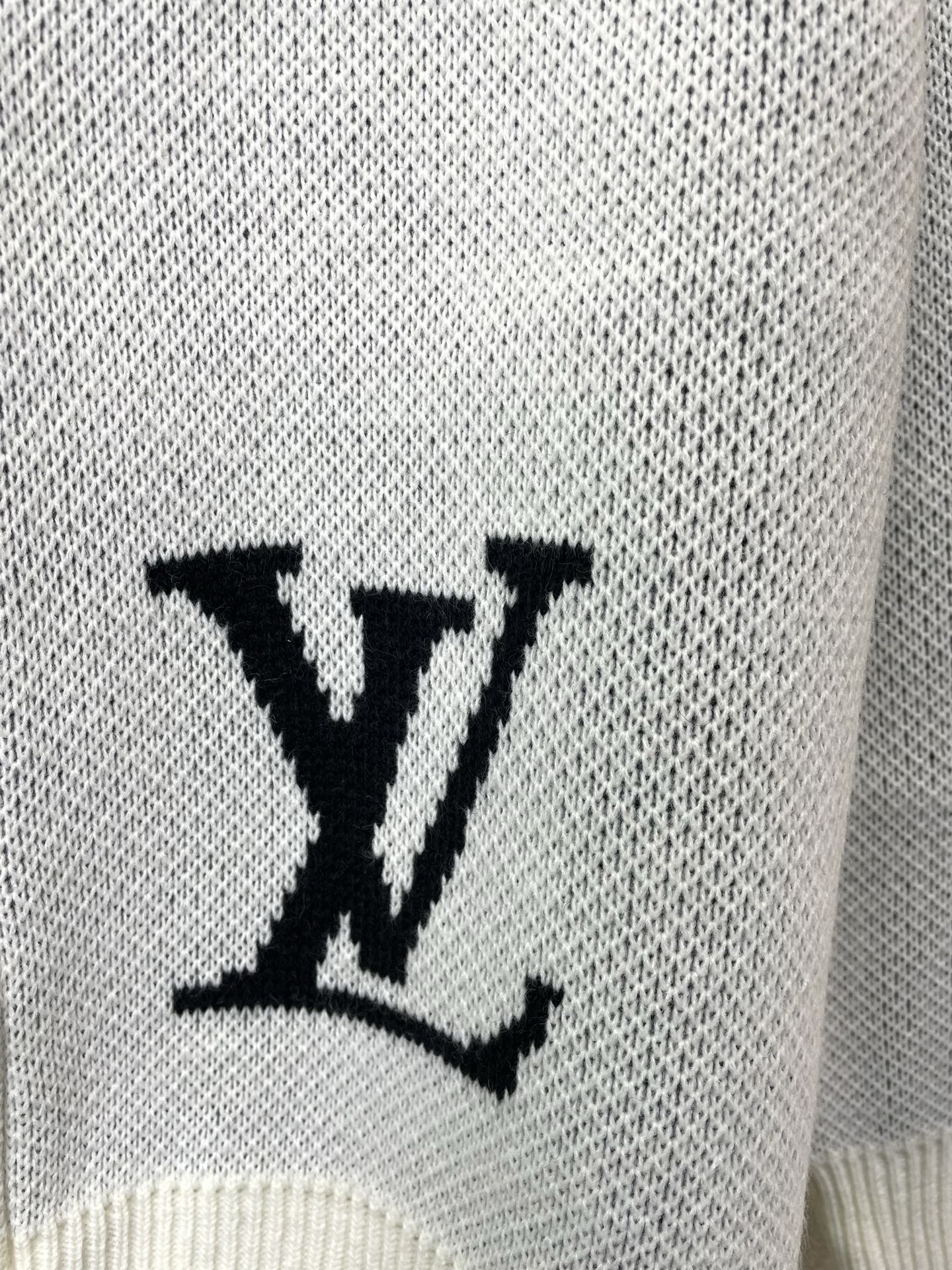 Louis Vuitton Male Basic Clothing S-l