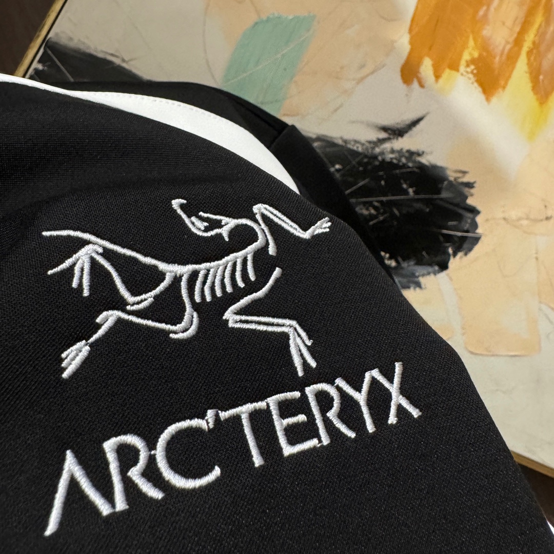Arcteryx Basic Clothing M-xl