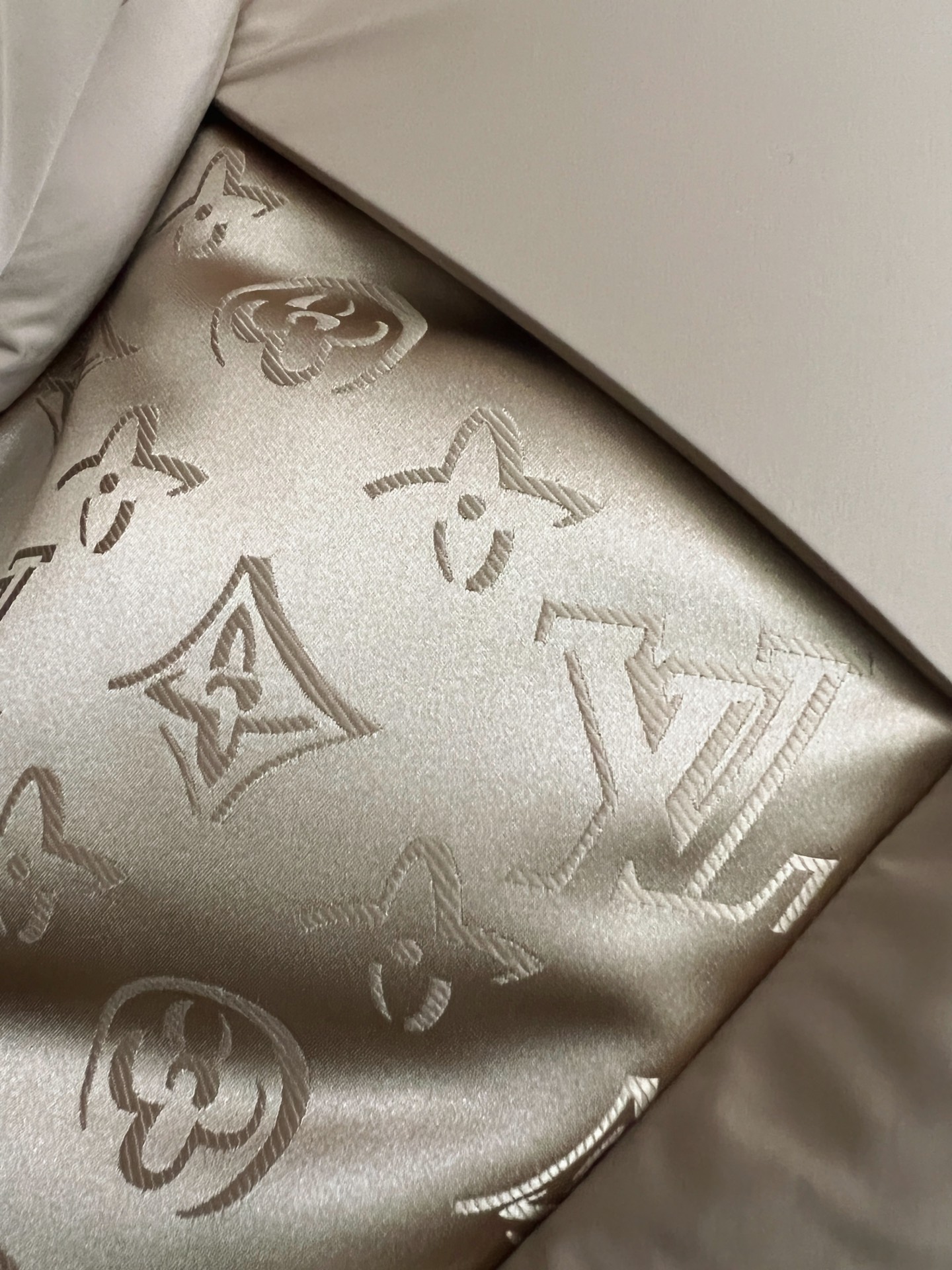 Louis Vuitton Down Jacket Goose Down