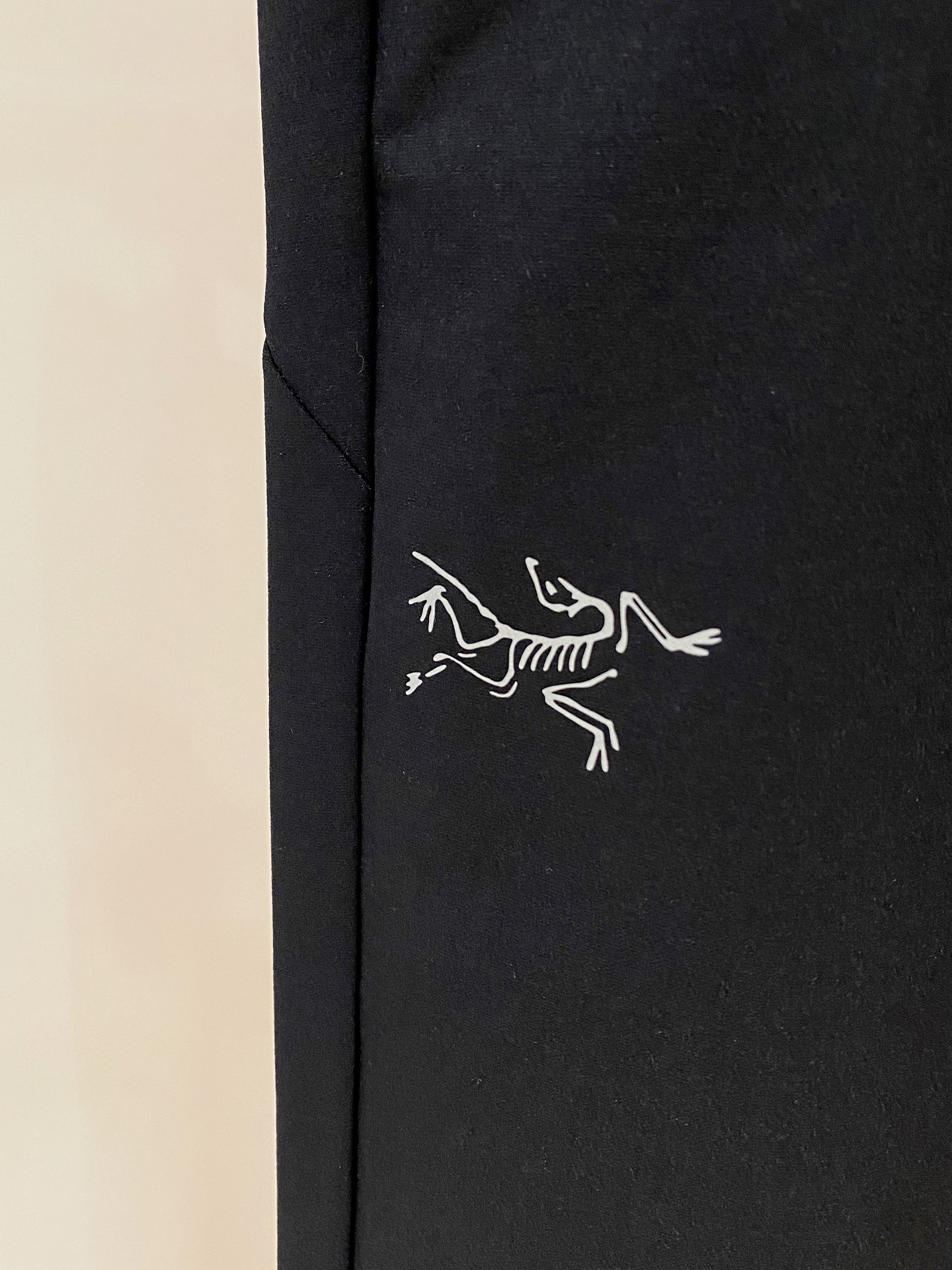 Arcteryx Male Basic Clothing L-xl