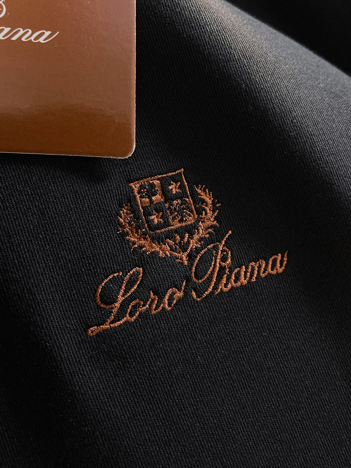 Loro Piana Male Hoodie Black S-l