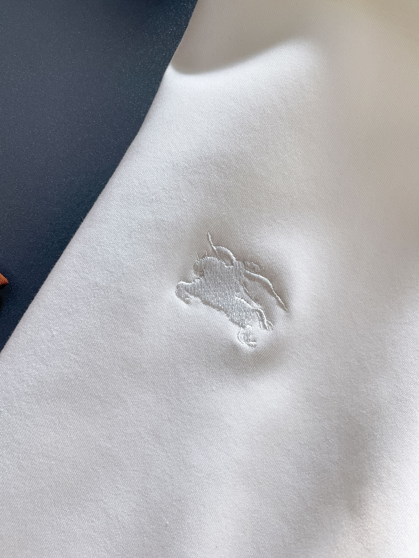 Burberry Male Hoodie Black S