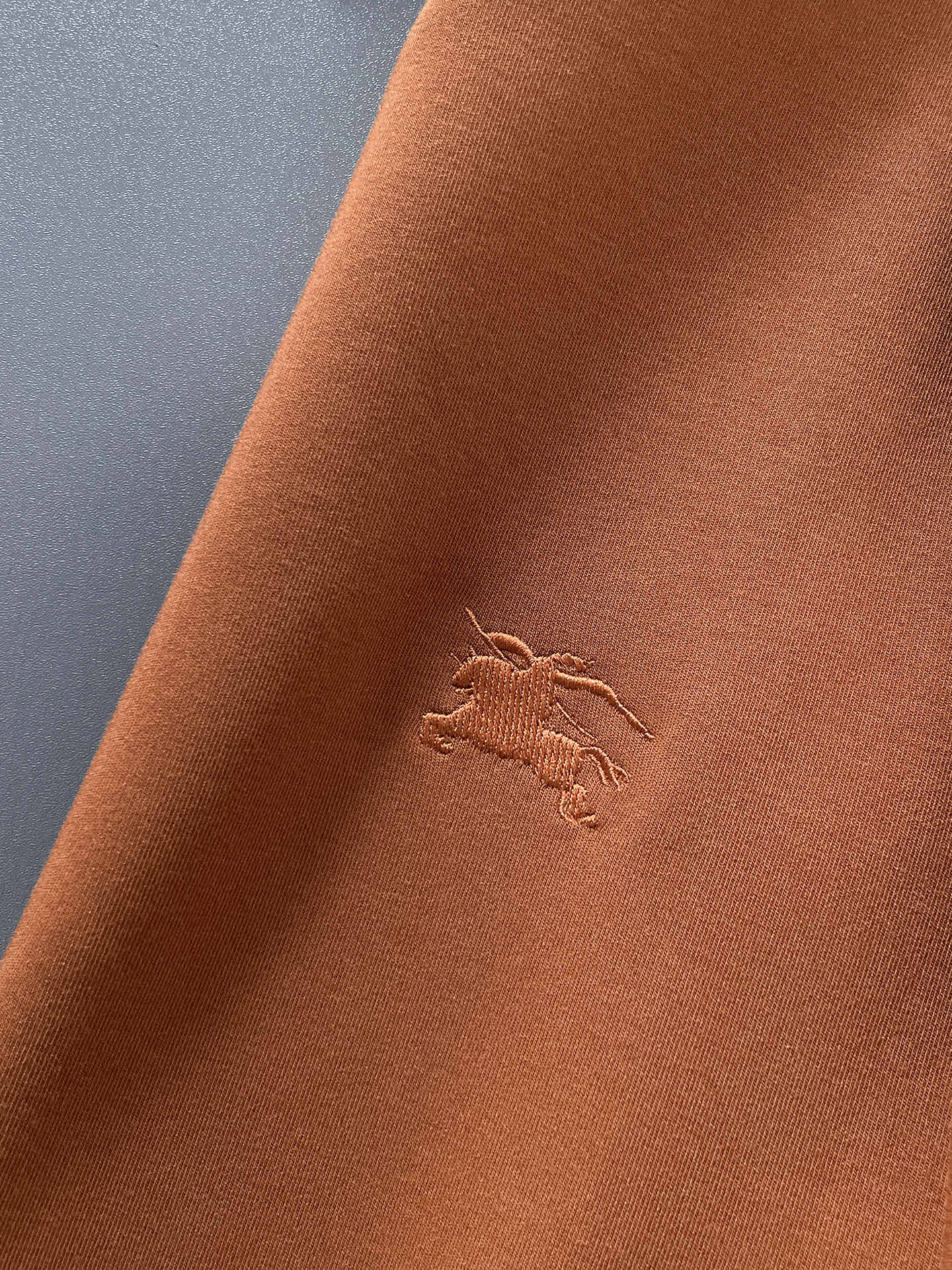 Burberry Male Hoodie Black S