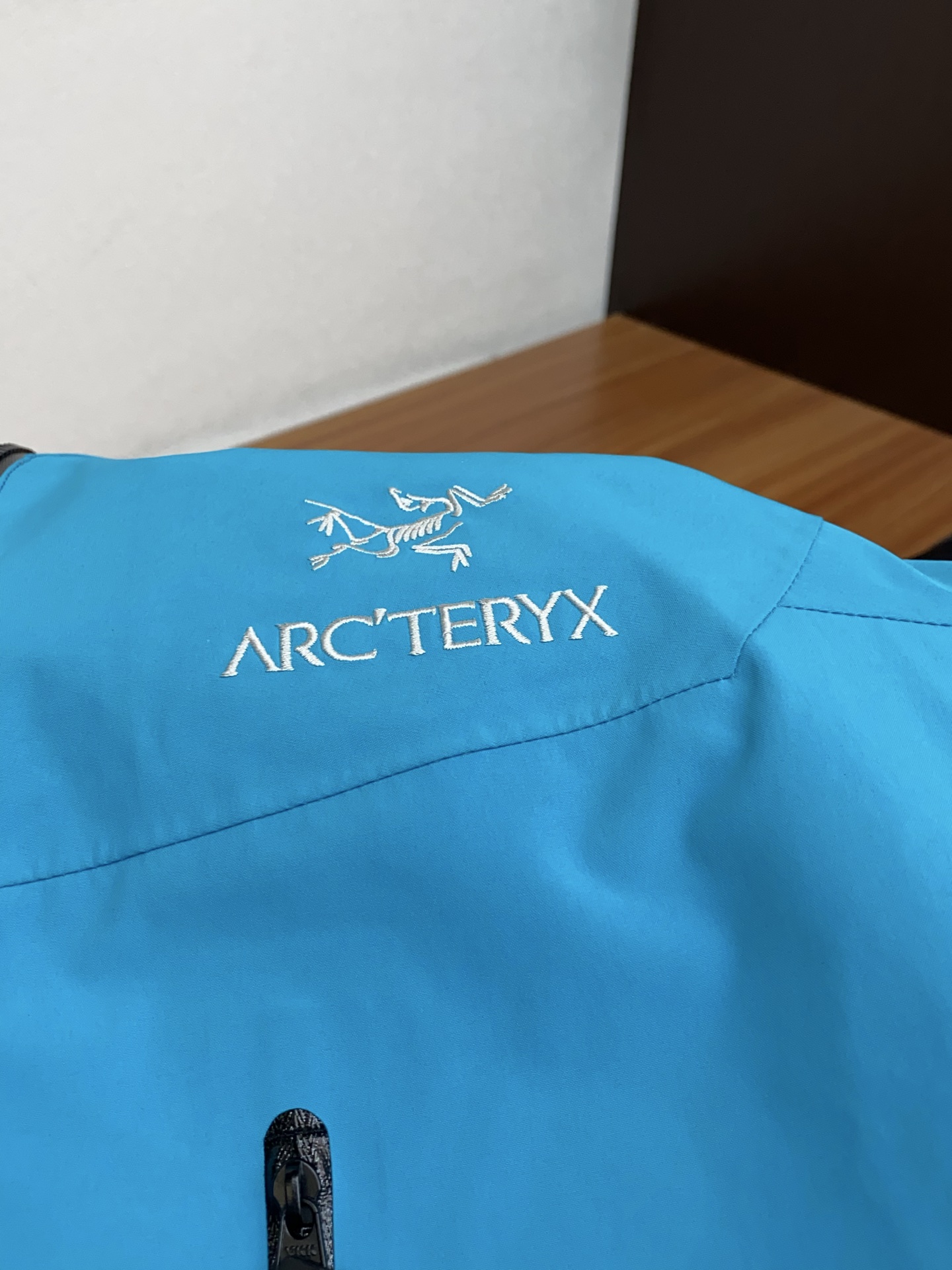 Arcteryx Male Down Jacket White Duck Down Hooded S-l-xl