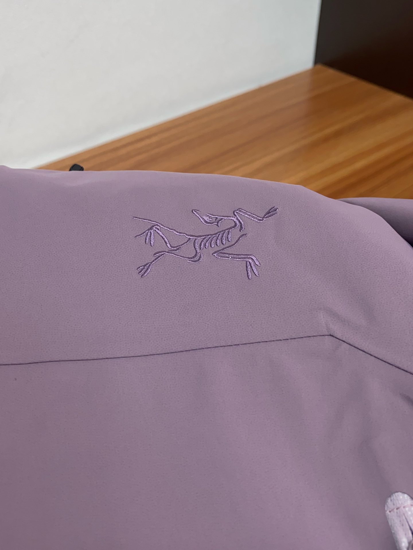 Arcteryx Male Down Jacket White Duck Down Hooded S-l-xl