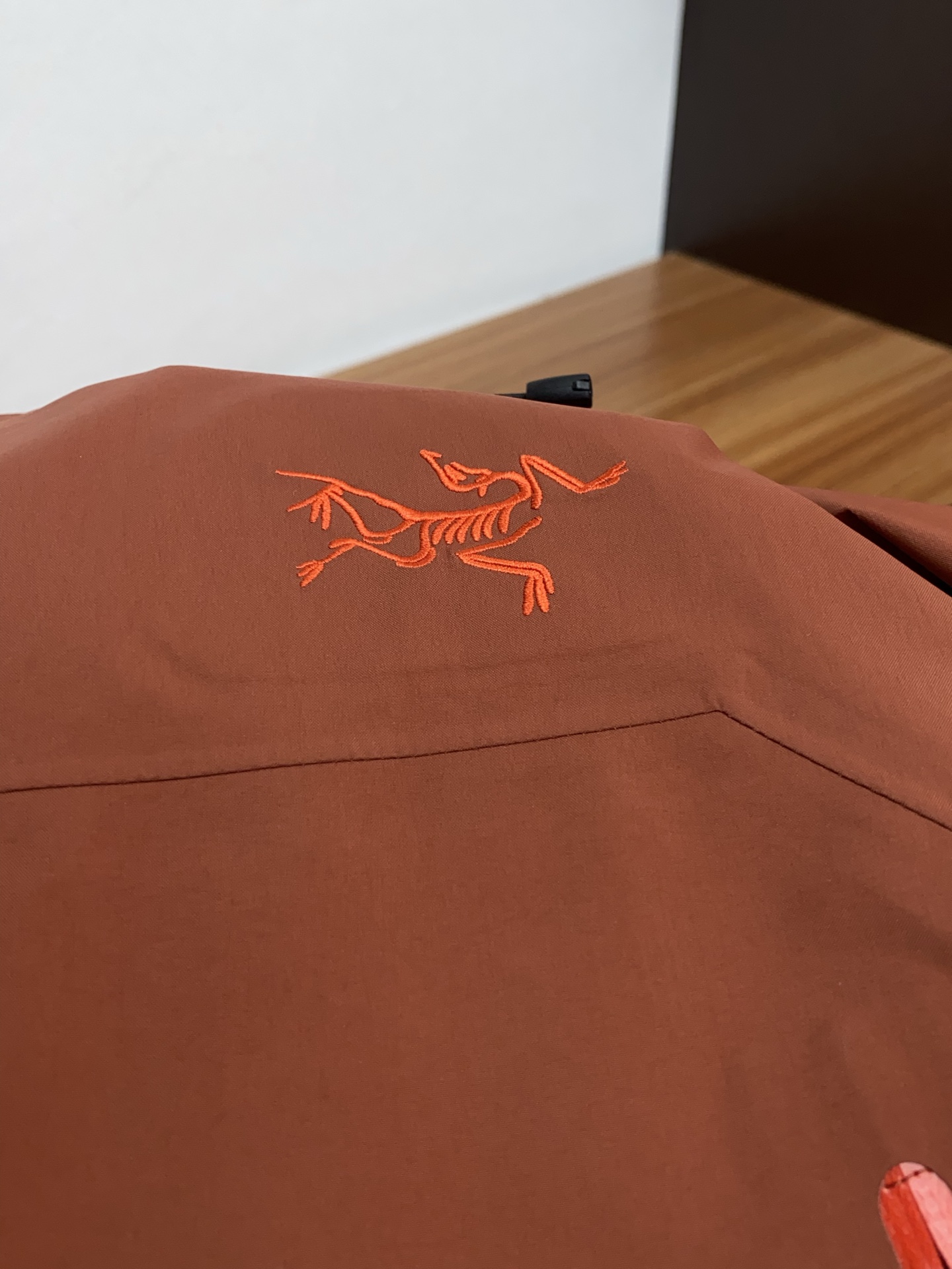 Arcteryx Male Down Jacket White Duck Down Hooded S-l-xl