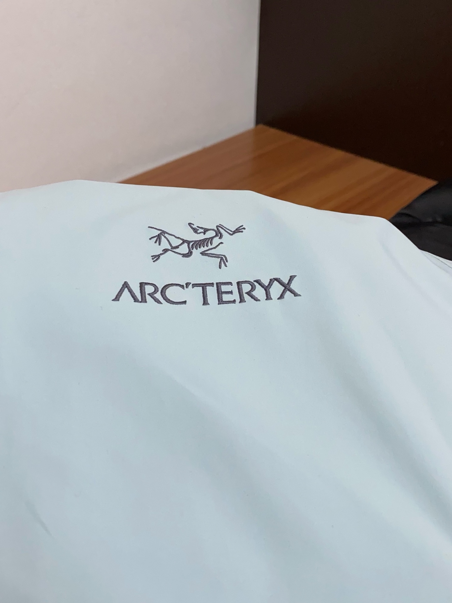 Arcteryx Male Down Jacket White Duck Down Hooded S-l-xl