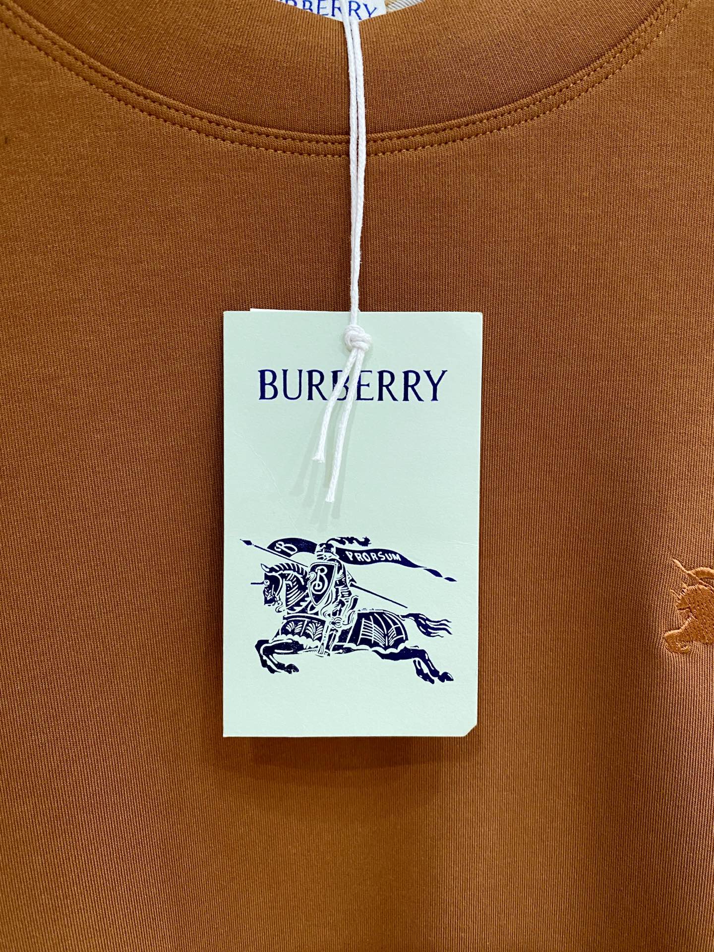Burberry Male Hoodie Black S