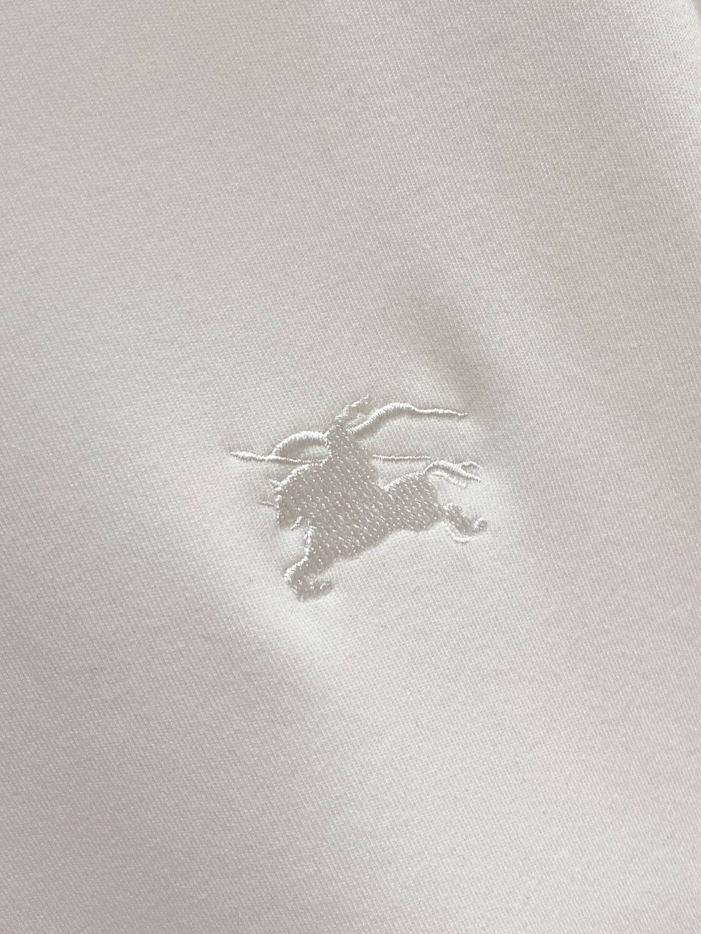 Burberry Male Hoodie Black S