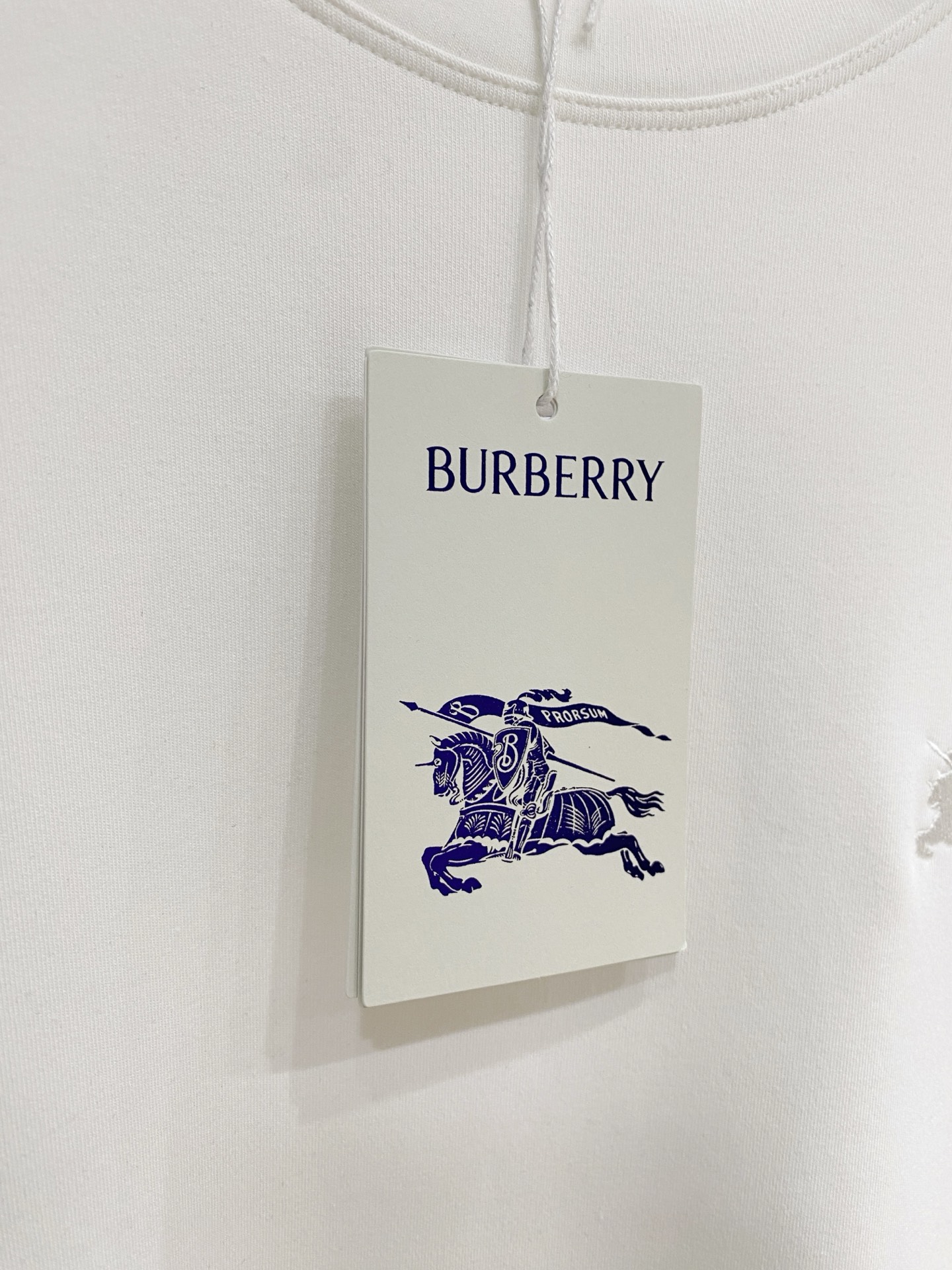 Burberry Male Hoodie Black S