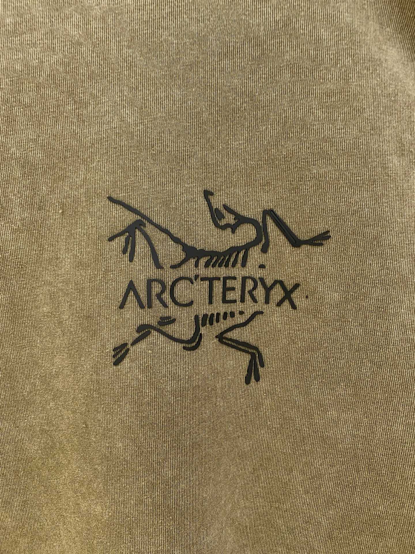 Arcteryx Couple Hoodie Cotton S-xl
