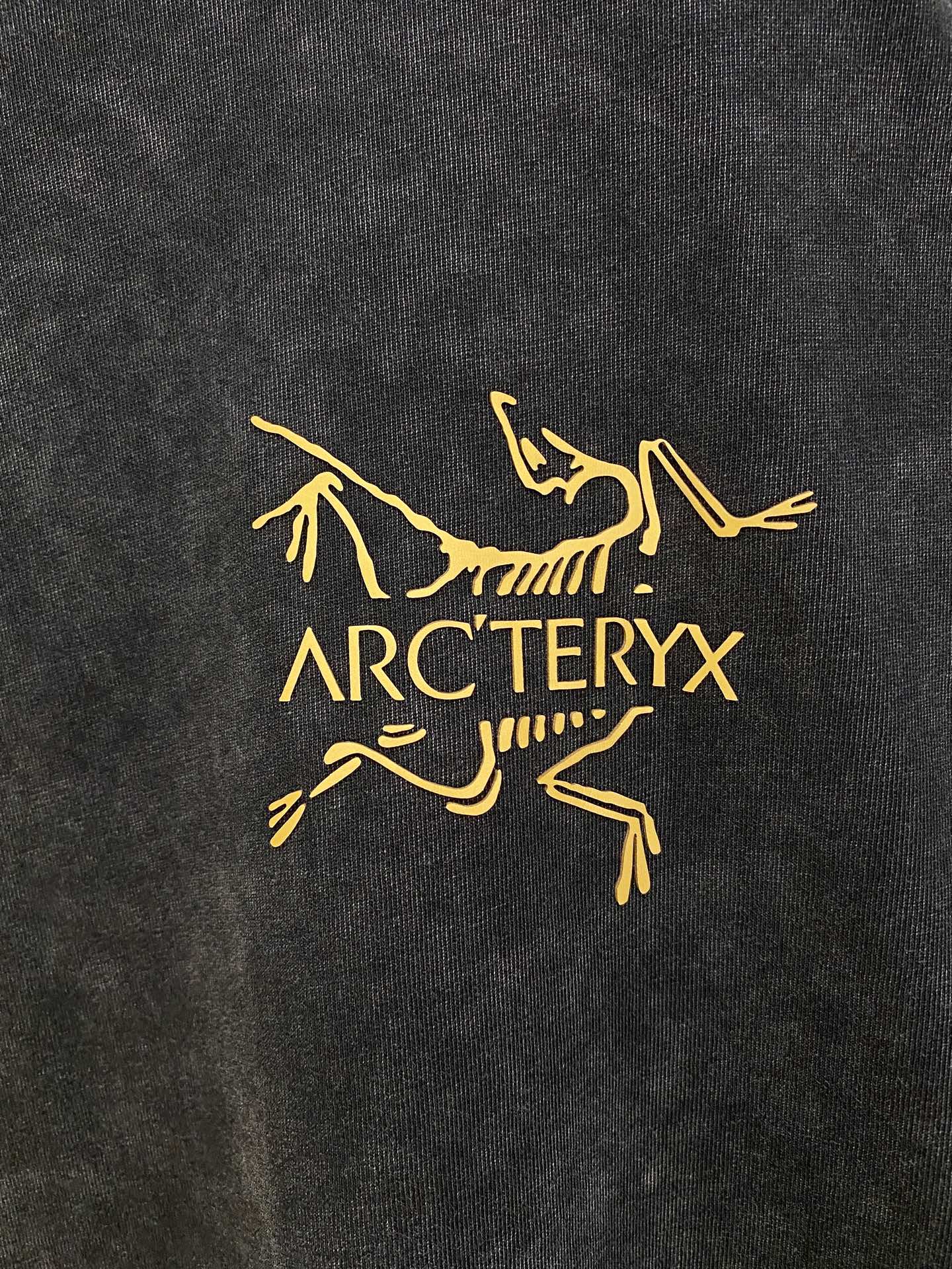 Arcteryx Couple Hoodie Cotton S-xl