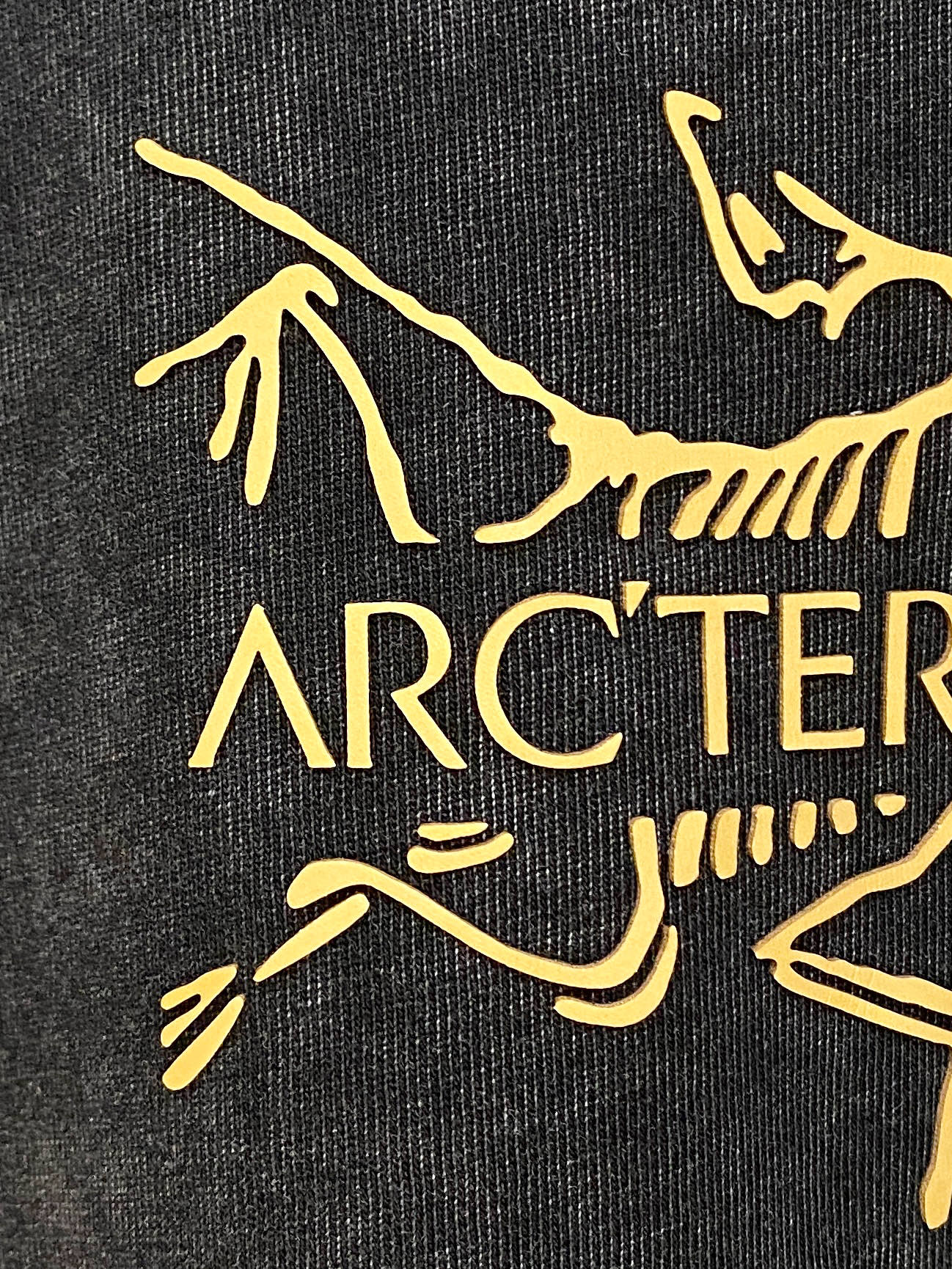 Arcteryx Couple Hoodie Cotton S-xl